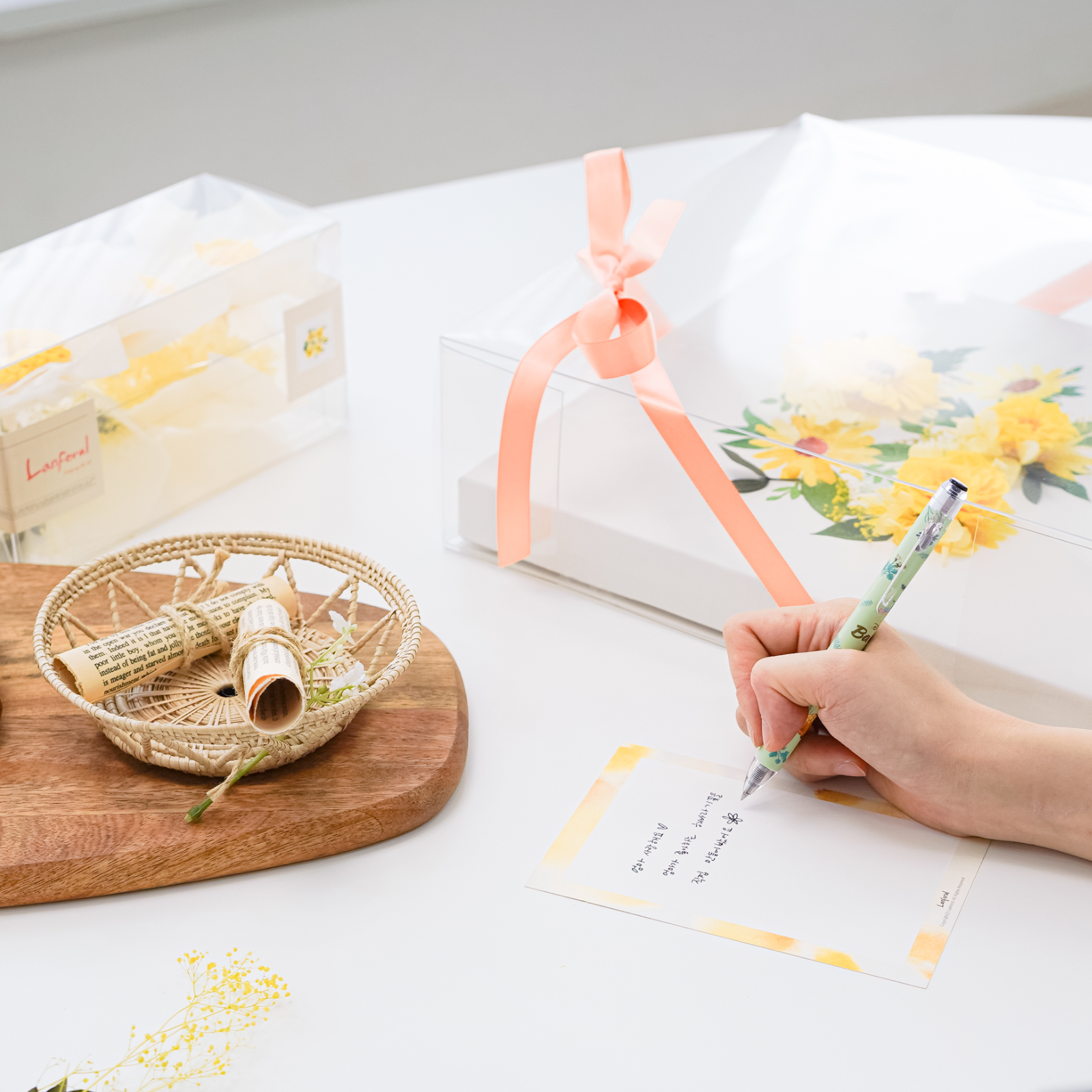 수호해바라기 DIY 키트