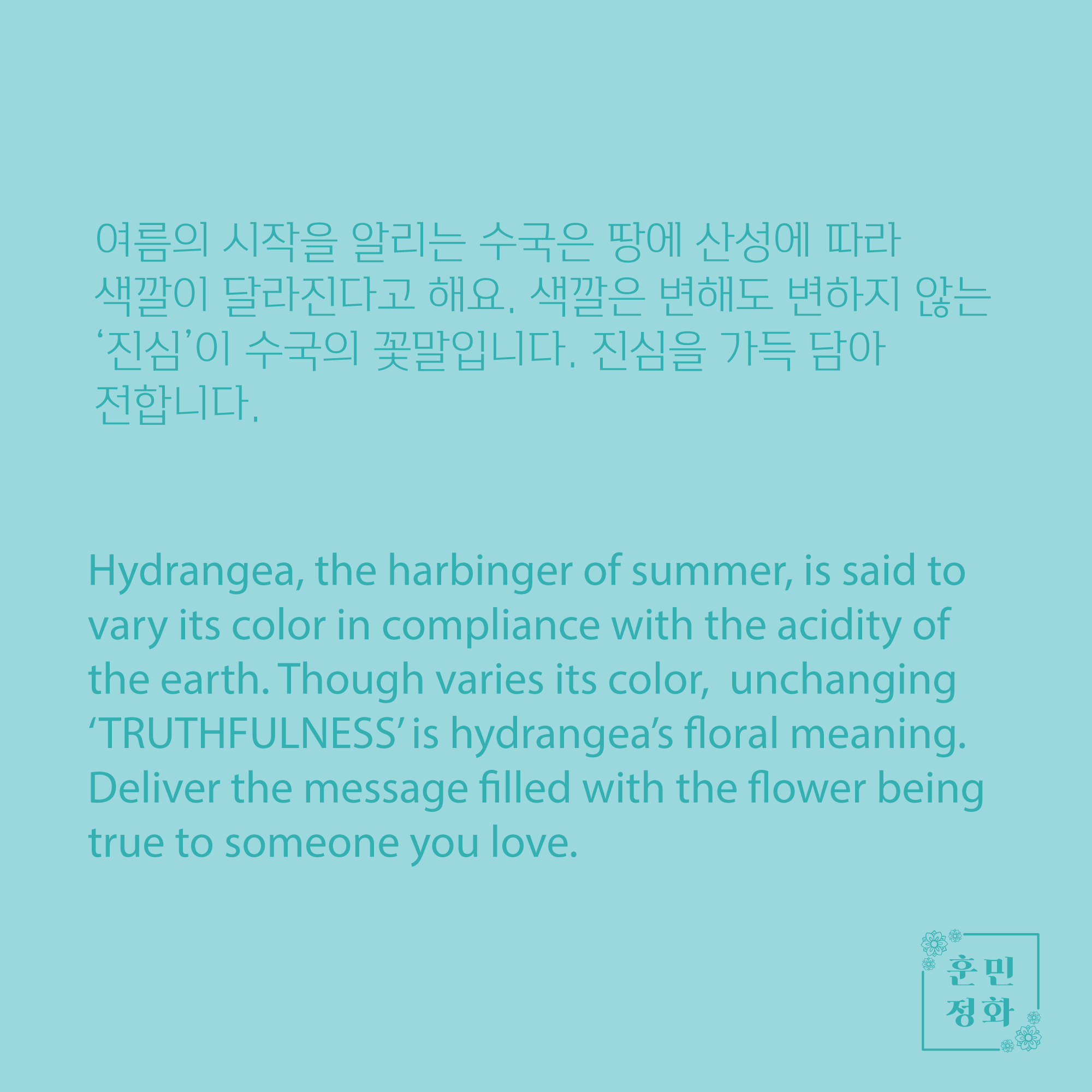 우리꽃 수국 열쇠고리