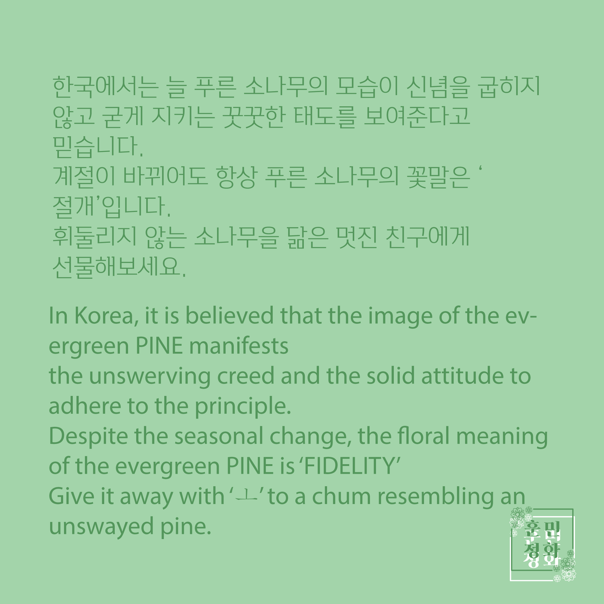 우리꽃 소나무 열쇠고리