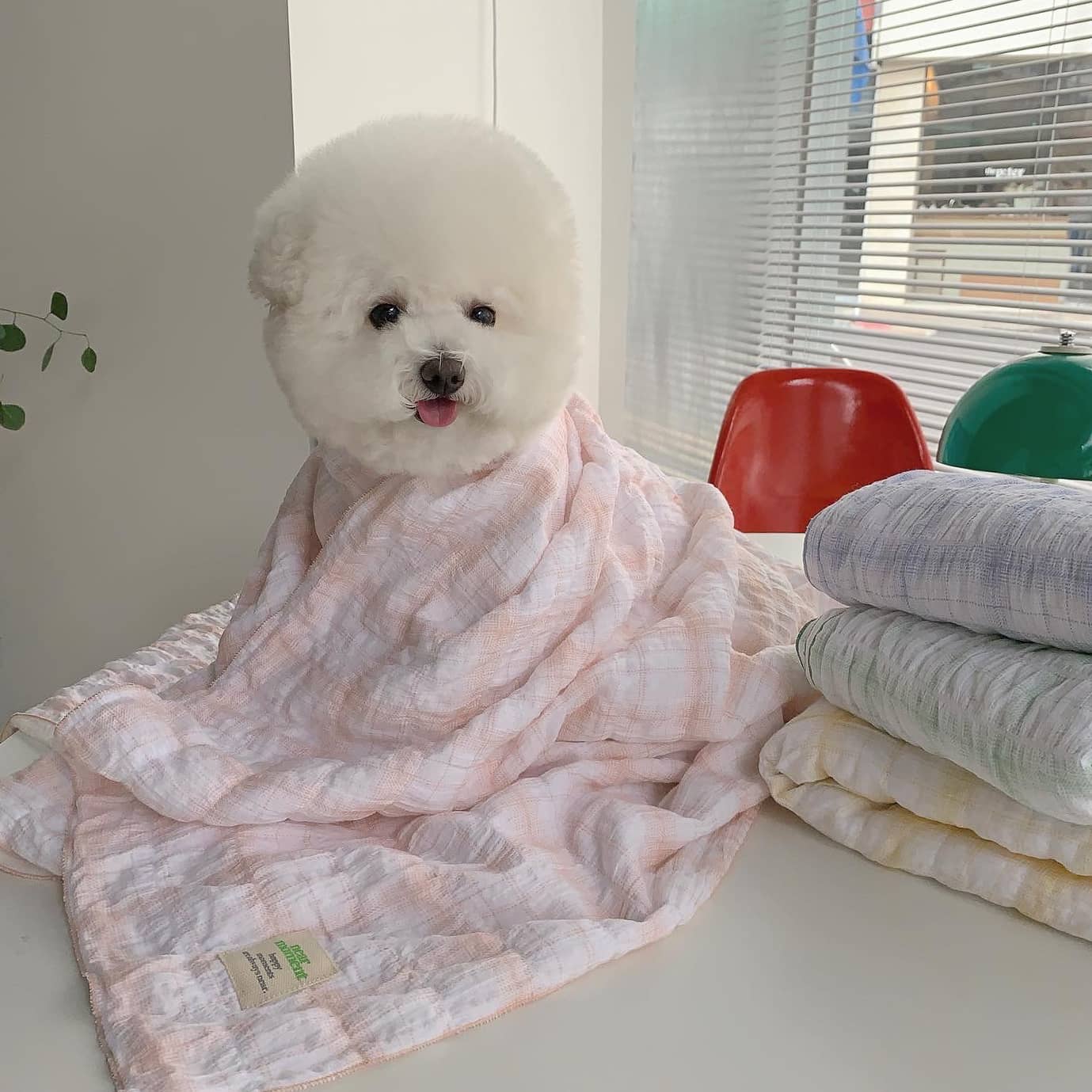 ❤️peach summer blanket