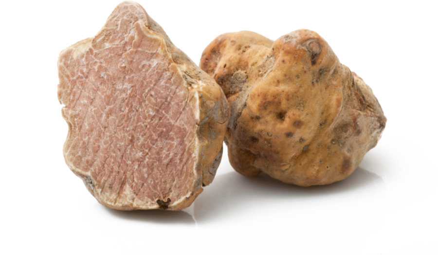 화이트 송로버섯 Tuber Pico Magnatum 50g (+ - 2g)