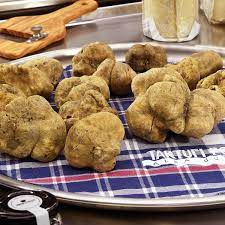 화이트 송로버섯 Tuber Pico Magnatum 50g (+ - 2g)