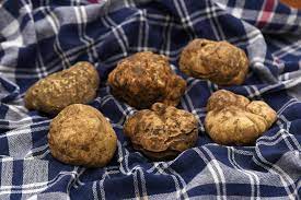 화이트 송로버섯 Tuber Pico Magnatum 50g (+ - 2g)
