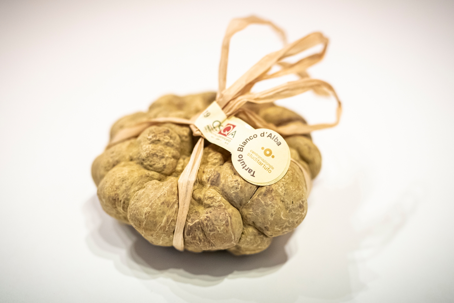 화이트 송로버섯 Tuber Pico Magnatum 50g (+ - 2g)