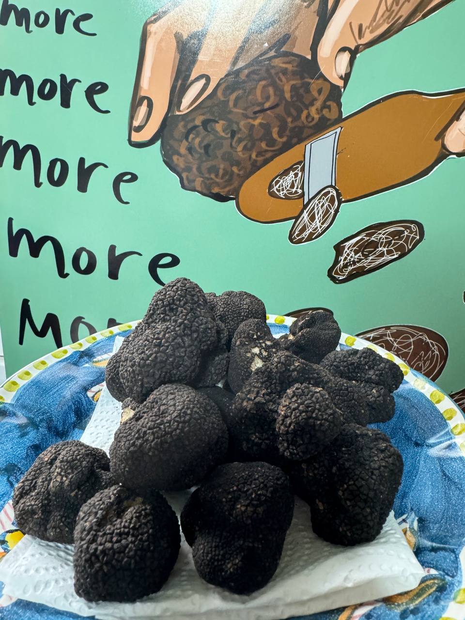 이탈리안산 생 여름트러플 100g (fresh black truffle)