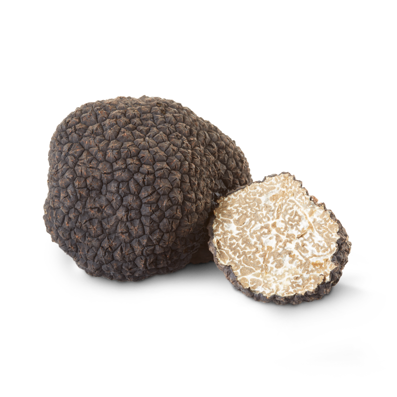 이탈리안산 생 여름트러플 100g (fresh black truffle)