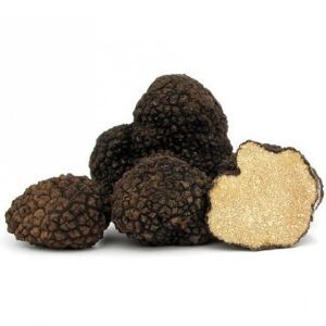 이탈리안산 생 여름트러플 100g (fresh black truffle)