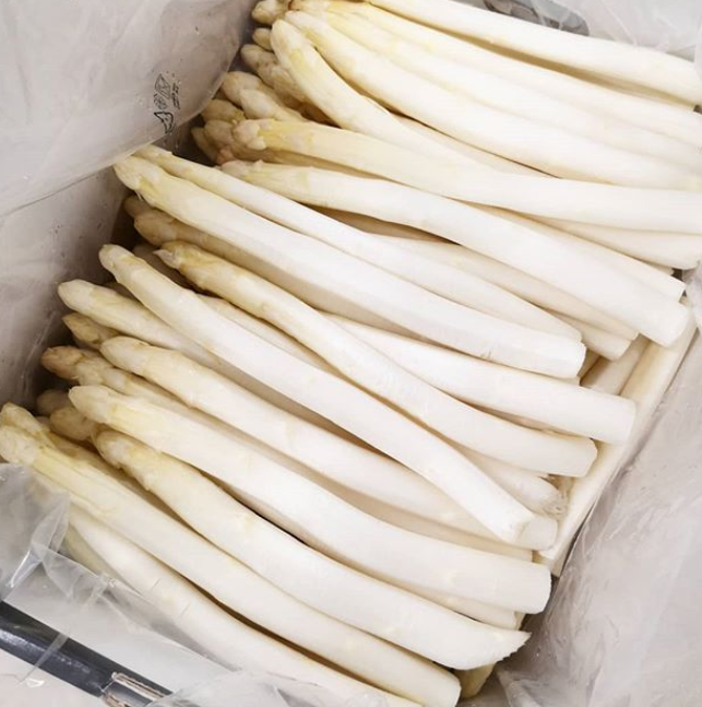 [Baraldo] 화이트 아스파라거스 절임 550g