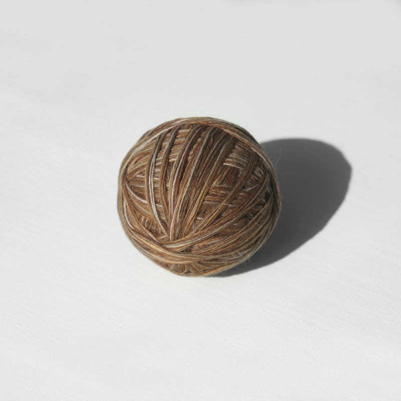 타로 얼그레이 깜빠뉴 (Taro EarlGrey Campagne)