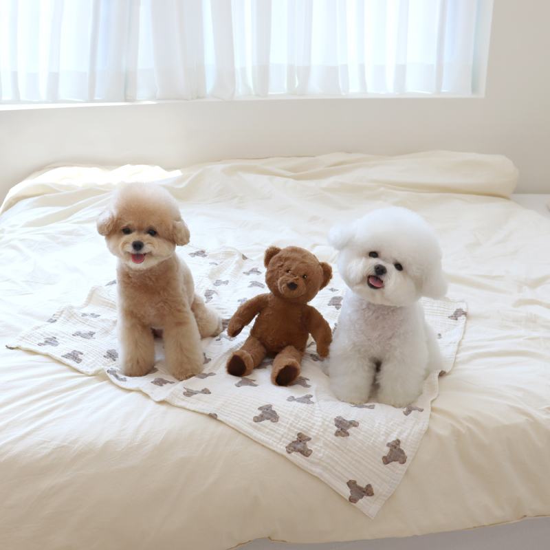 Baby bear blanket