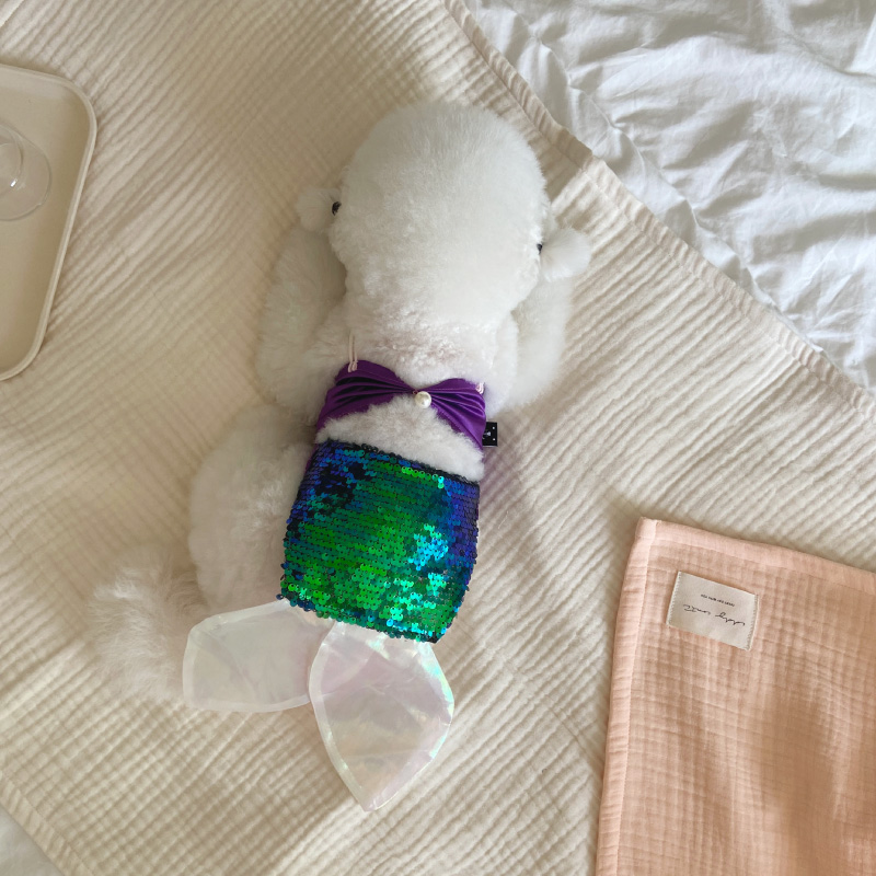 Pastel blanket _ Vanilla