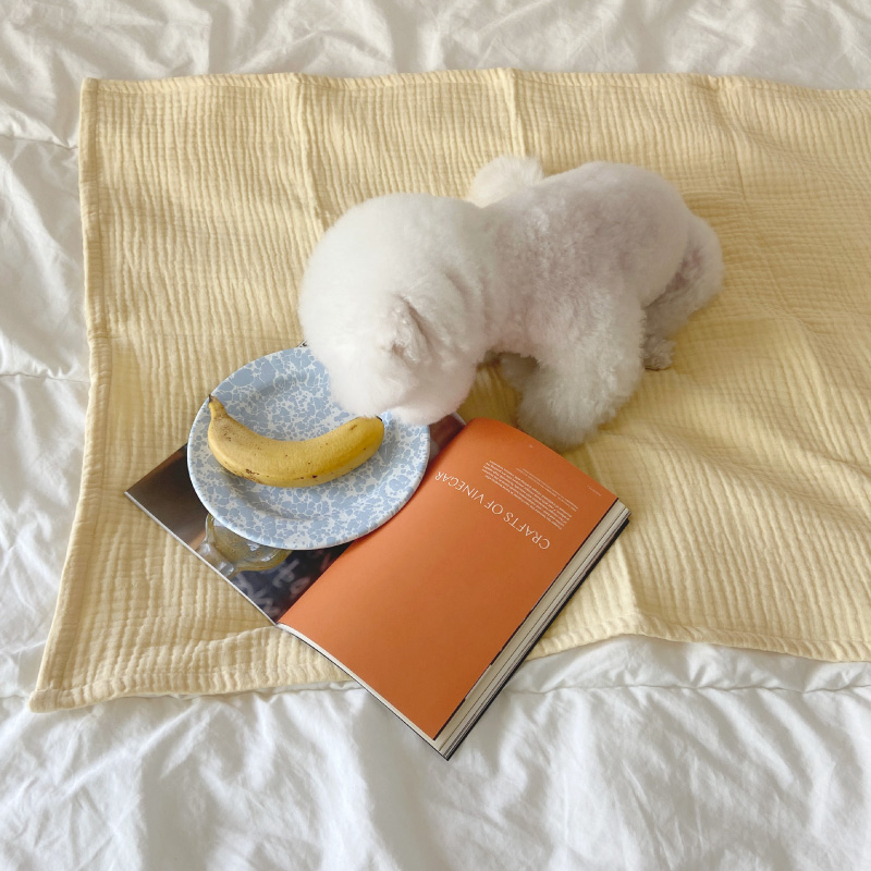 Pastel blanket _ Banana