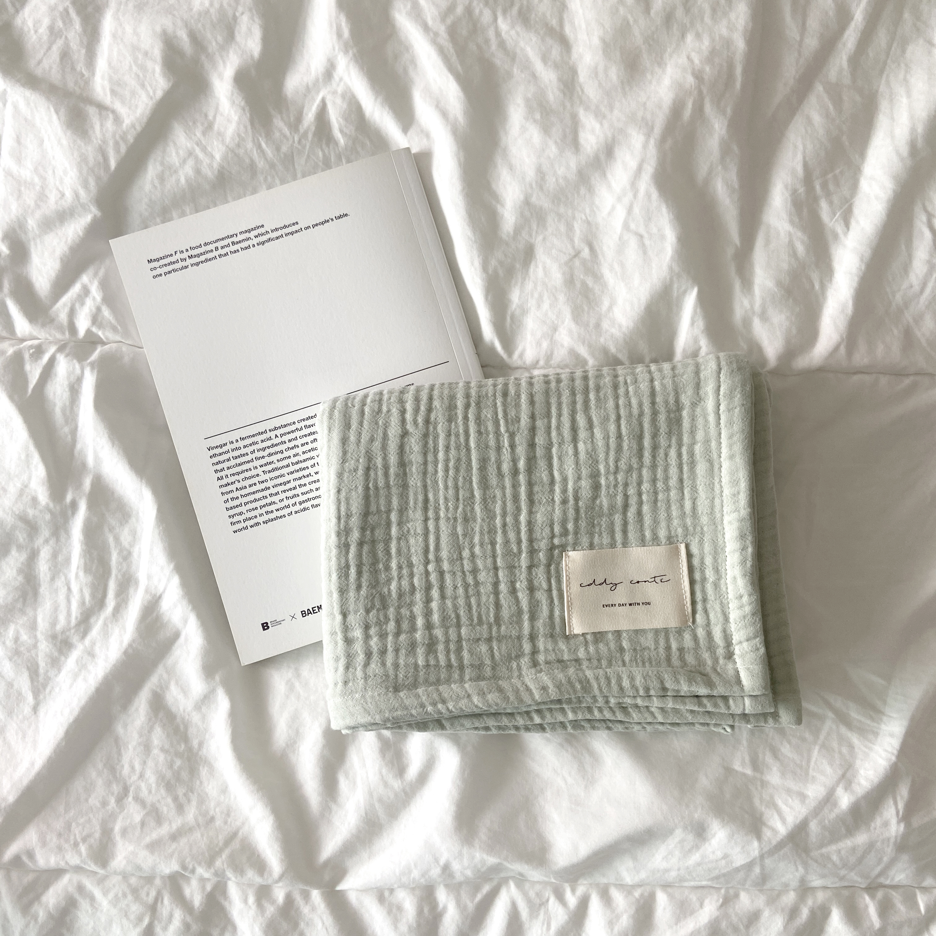 Basic blanket _ Mint