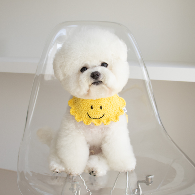 YELLOW SMILE, 옐로우 스마일
