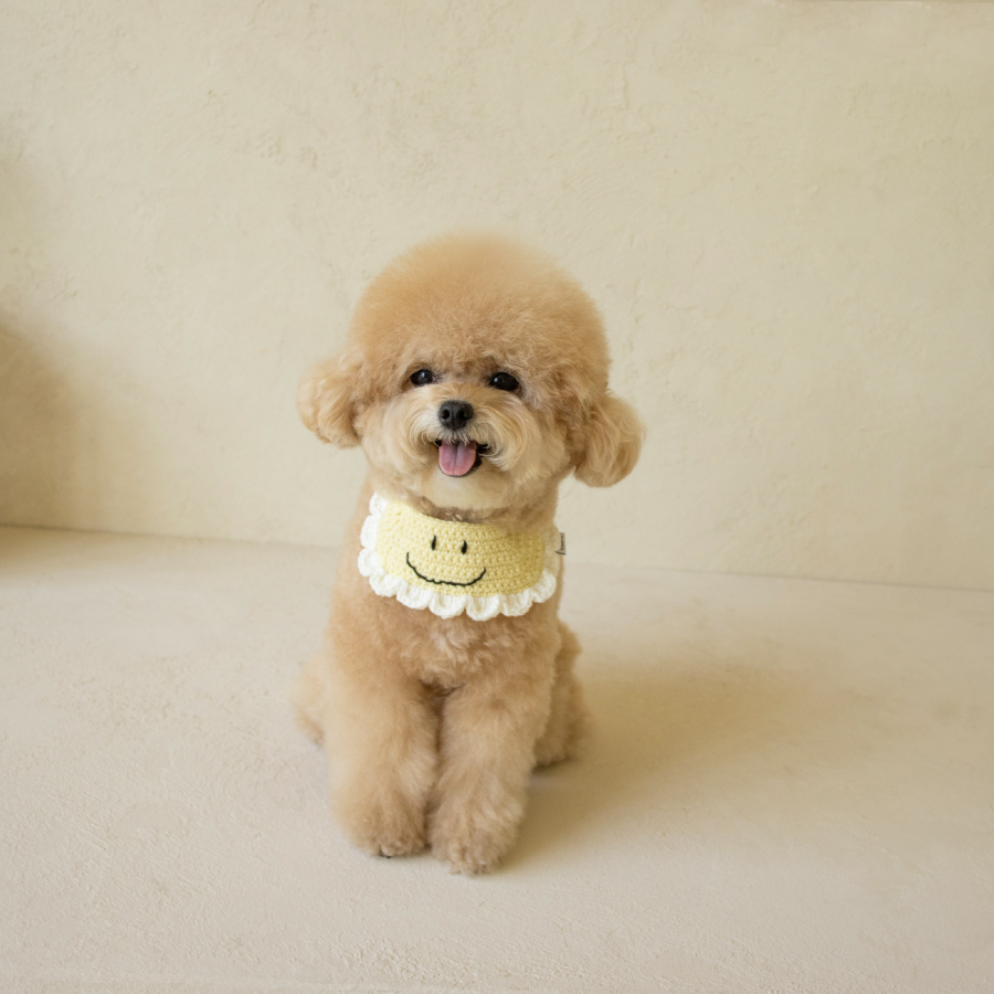 FLOWER SMILE, 플라워스마일