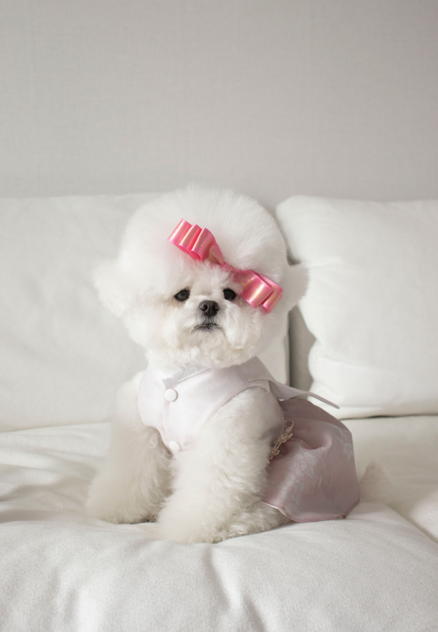 Hanbok Pin 전통한복삔
