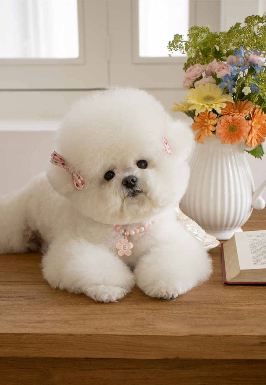 Flower Pearl SET 플라워진주 세트 (피치)