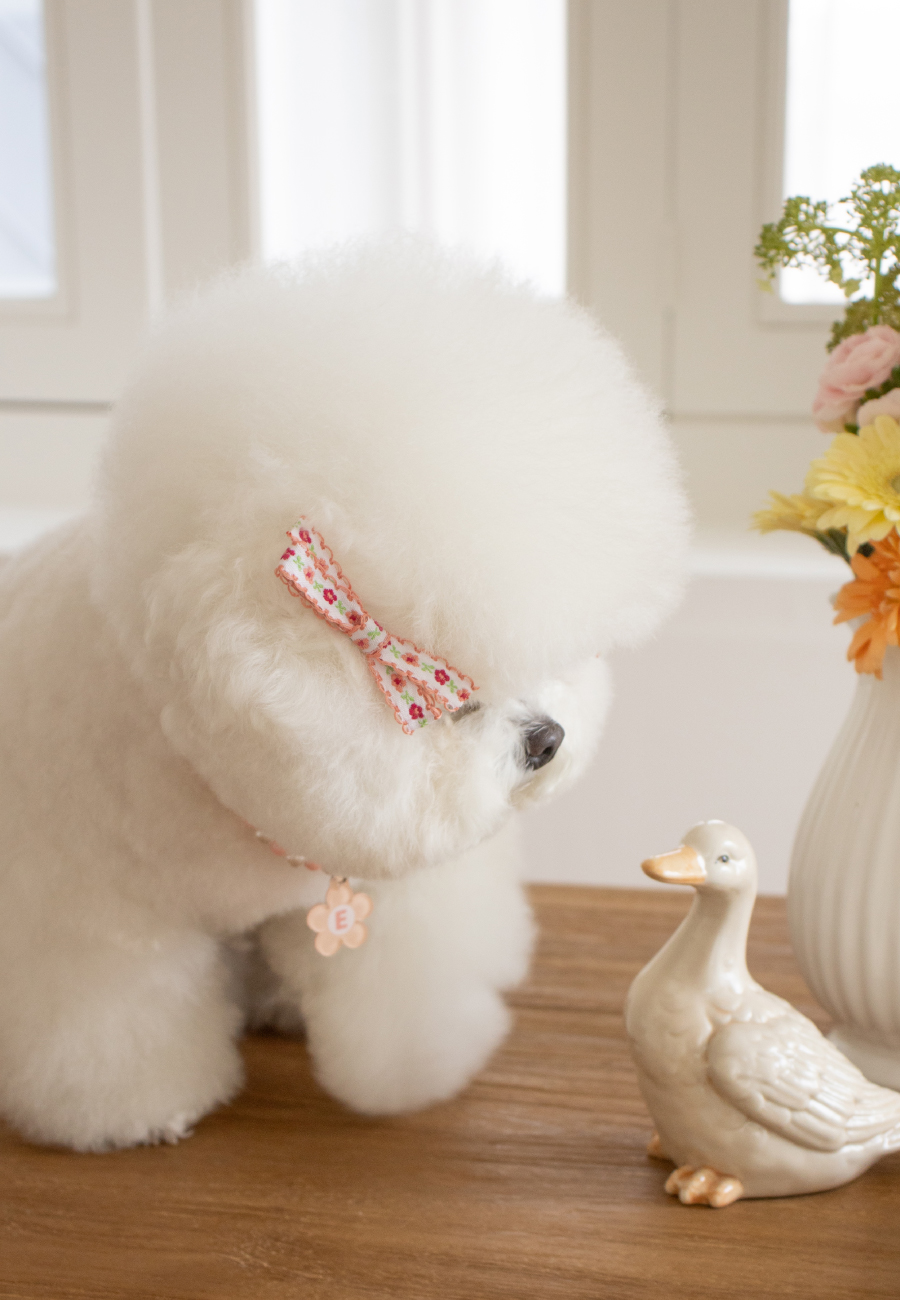 spring flower hairpin_peach (2piece)