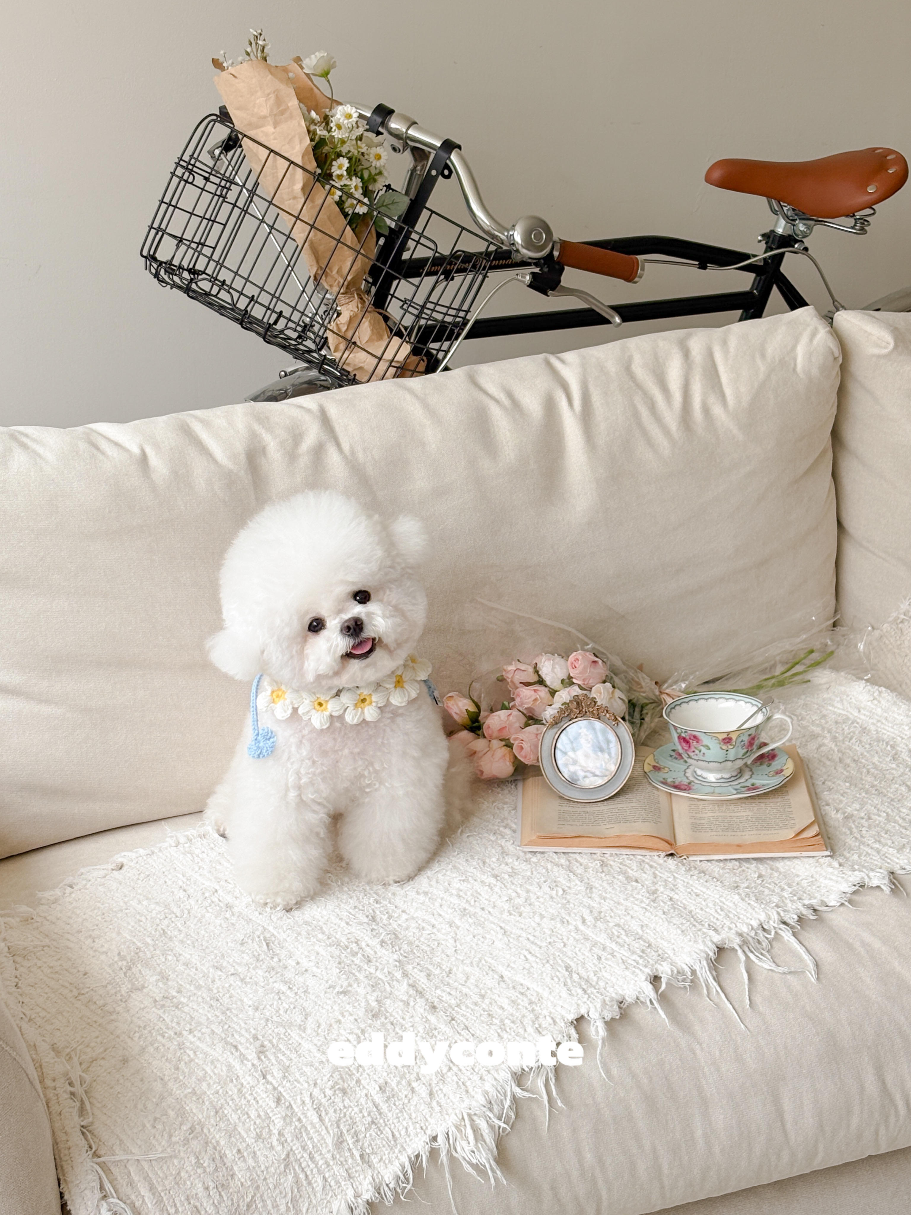 Daisy Knitting Cape (4color)