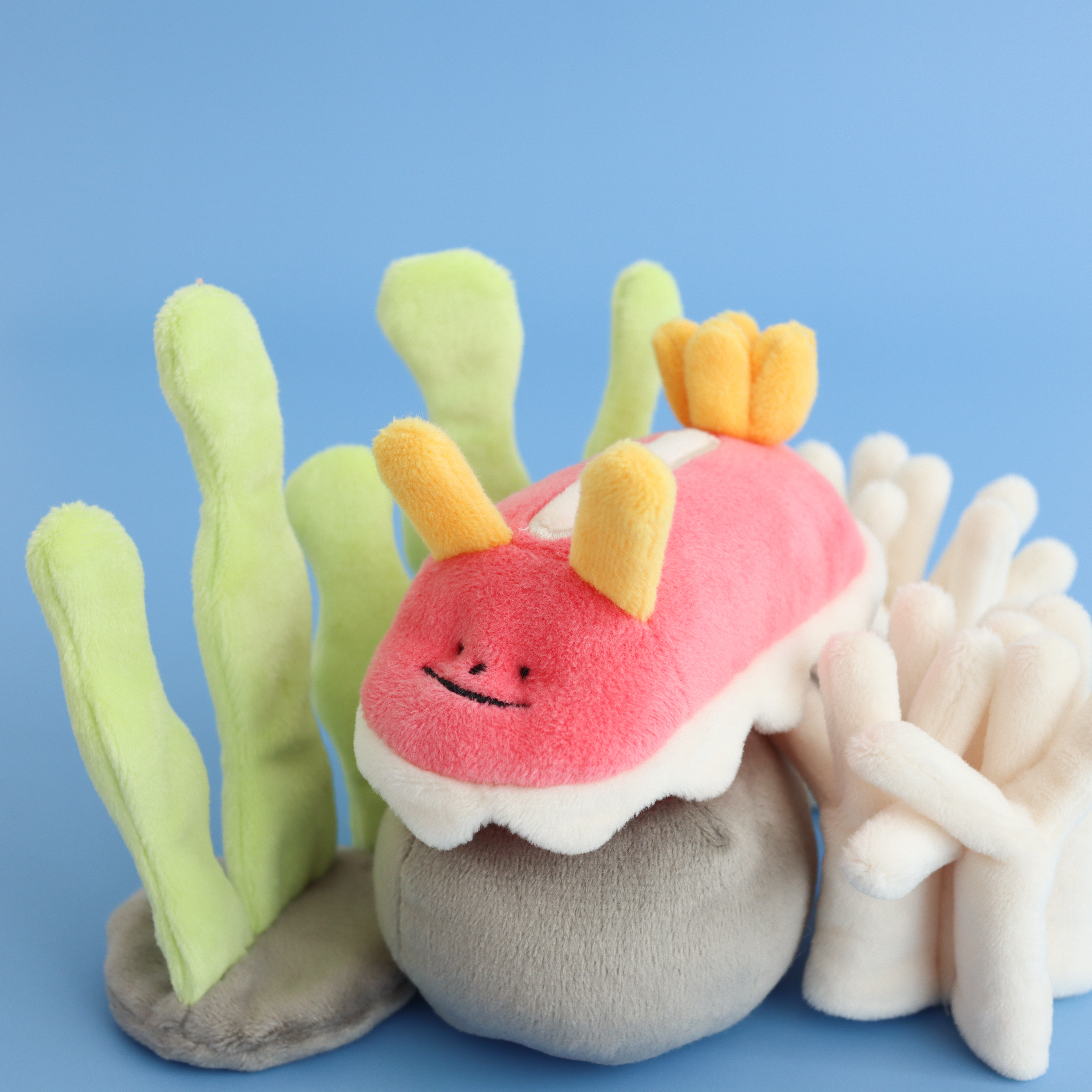 Pink Nudibranch