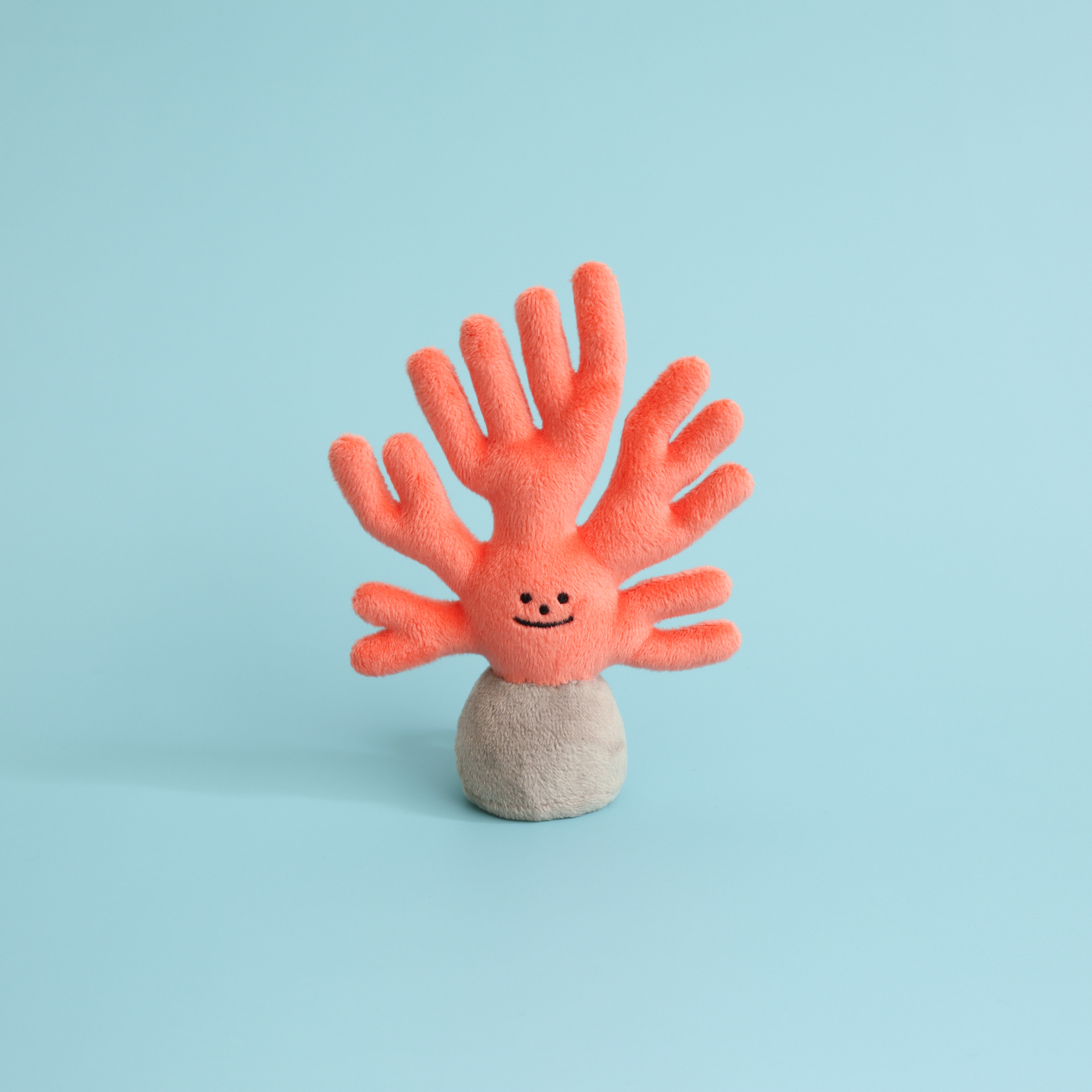 Red Fan Coral