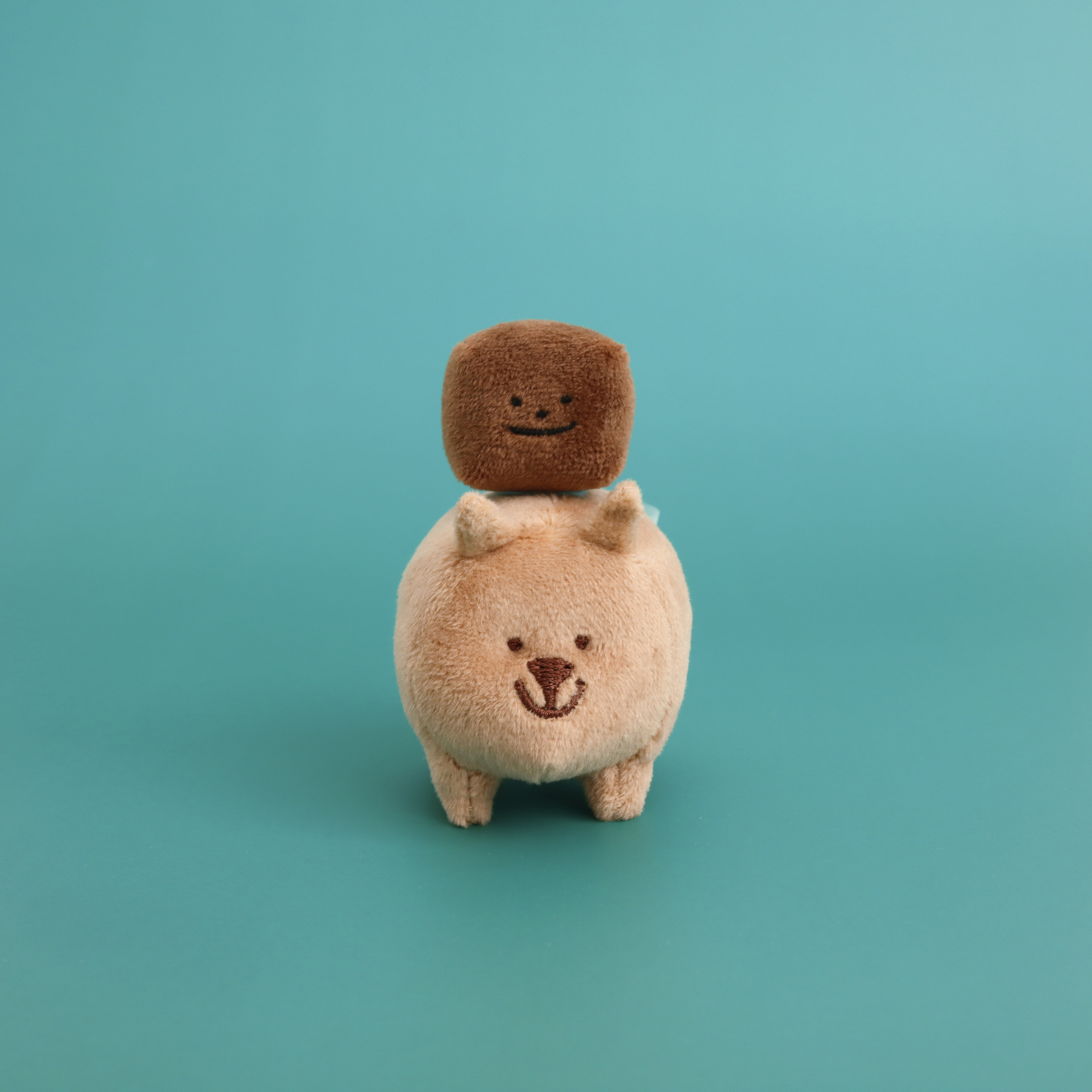 Wombat & Poop