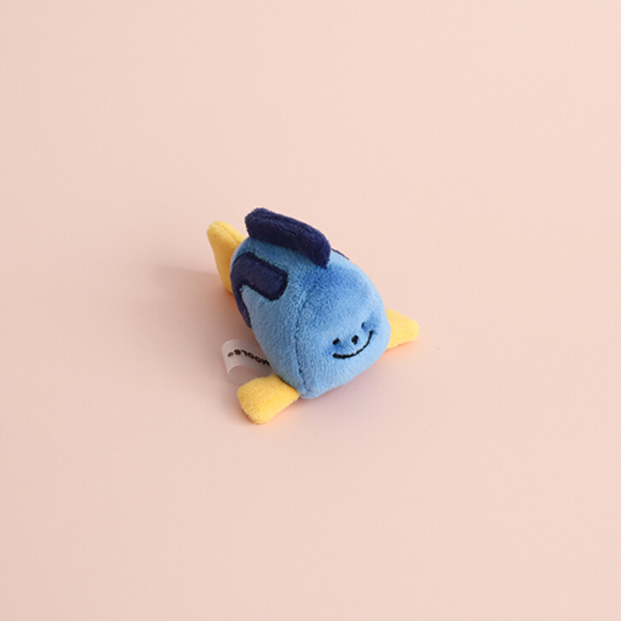 Blue Tang