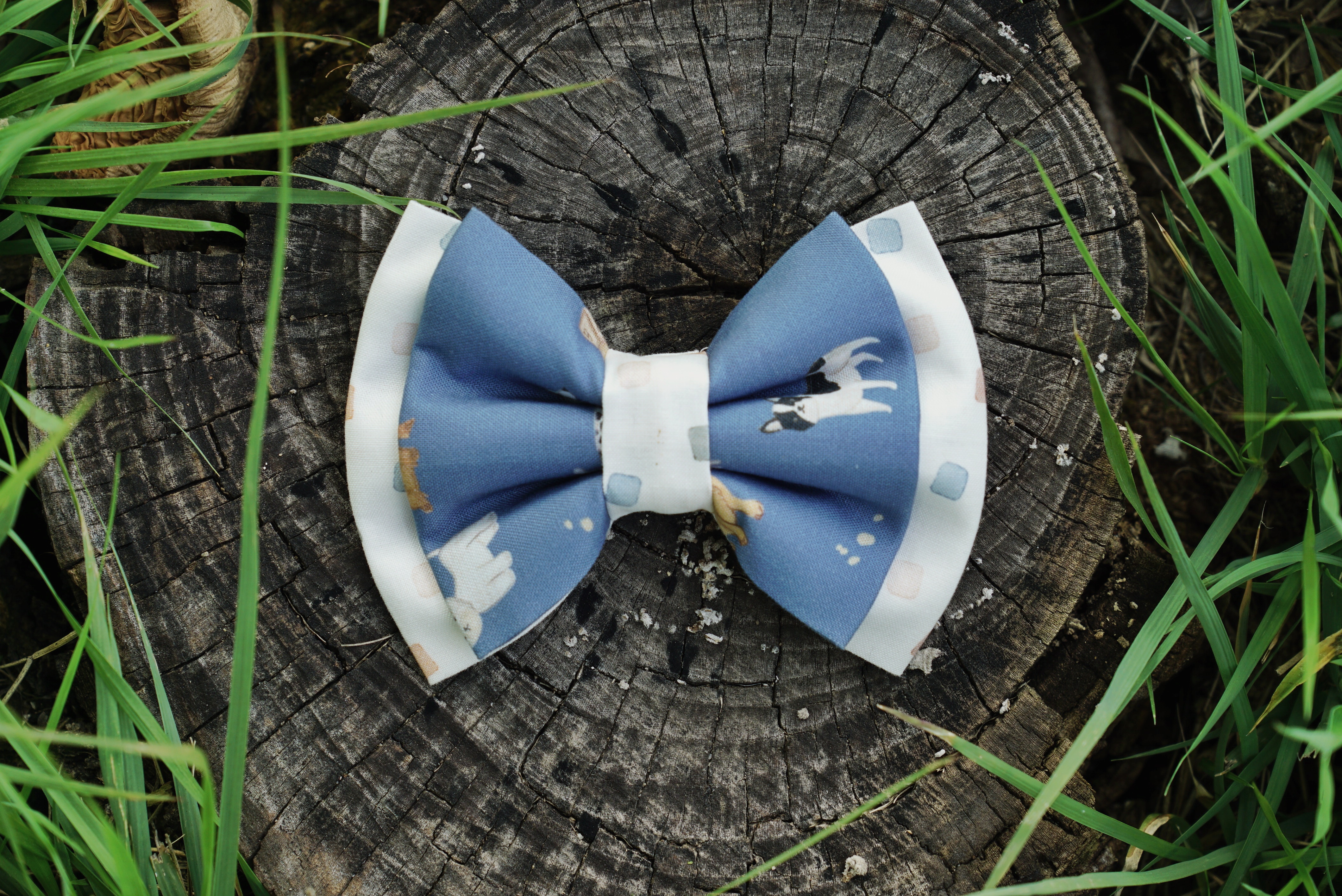 FURIENDS multicolor bow + bow tie