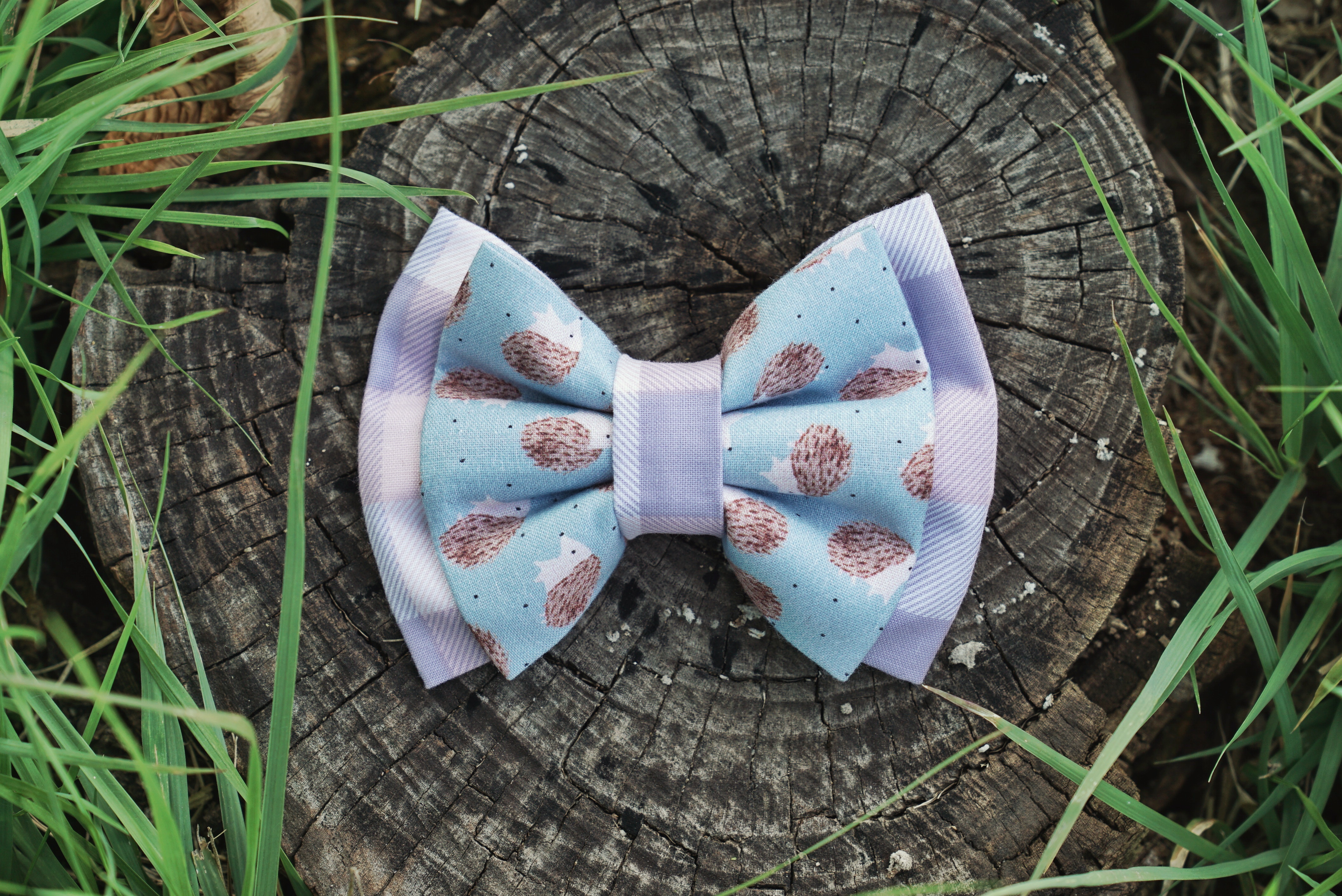 HEDGEHOG multicolor bow + bow tie