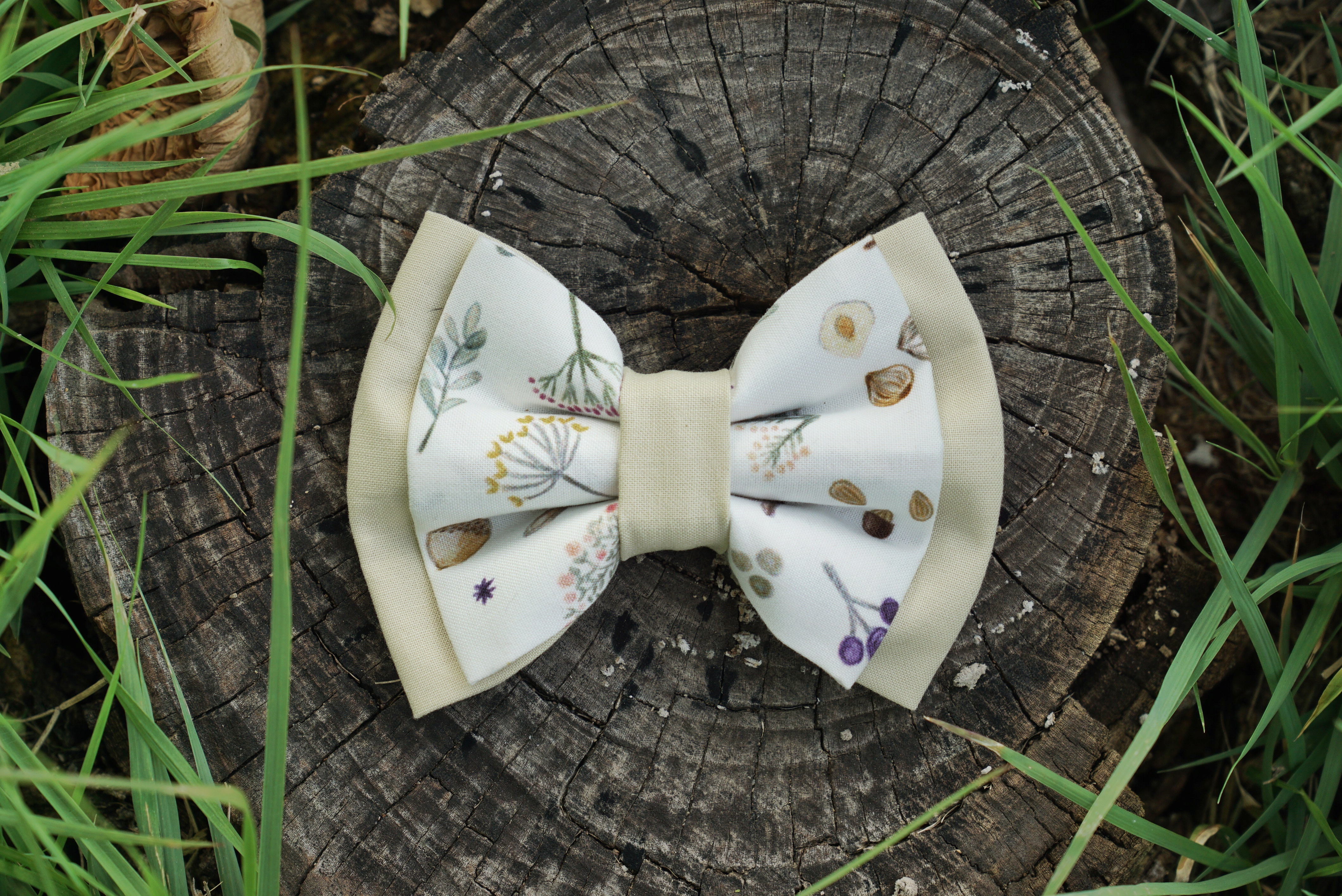 FAIRY TALE BUNNY multicolor bow + bow tie