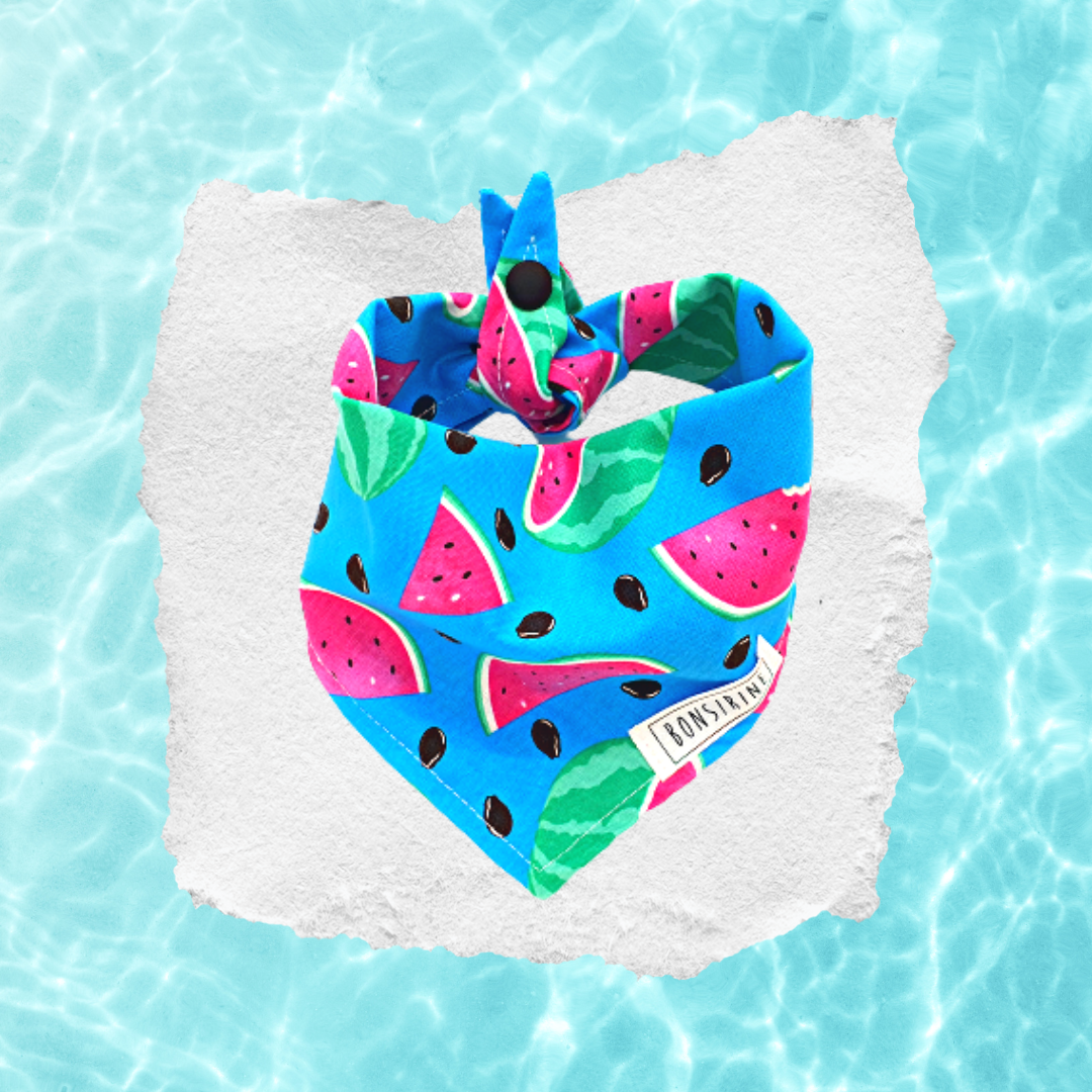 Sweet Watermelon bandana