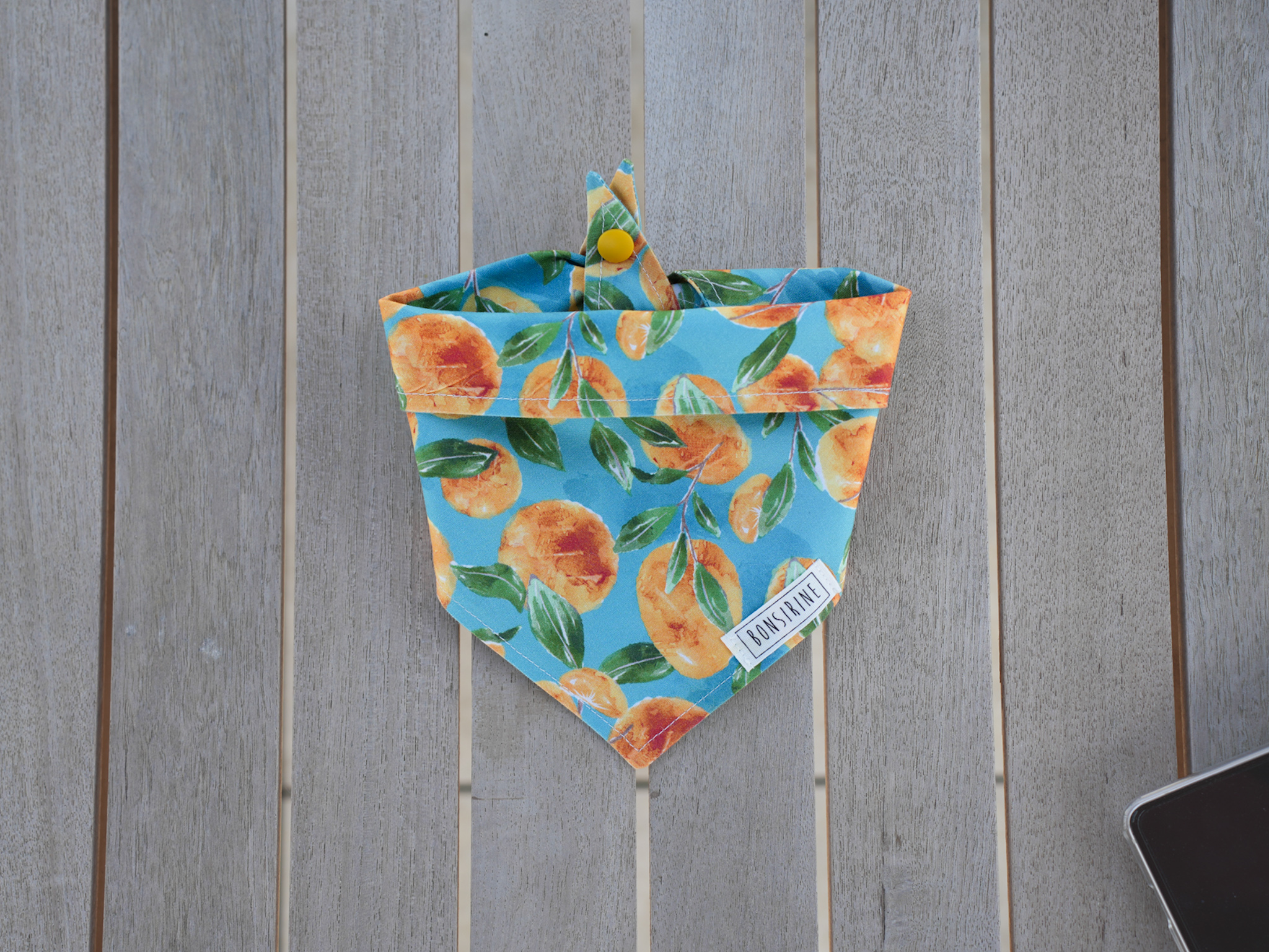 Sweet Apricot bandana