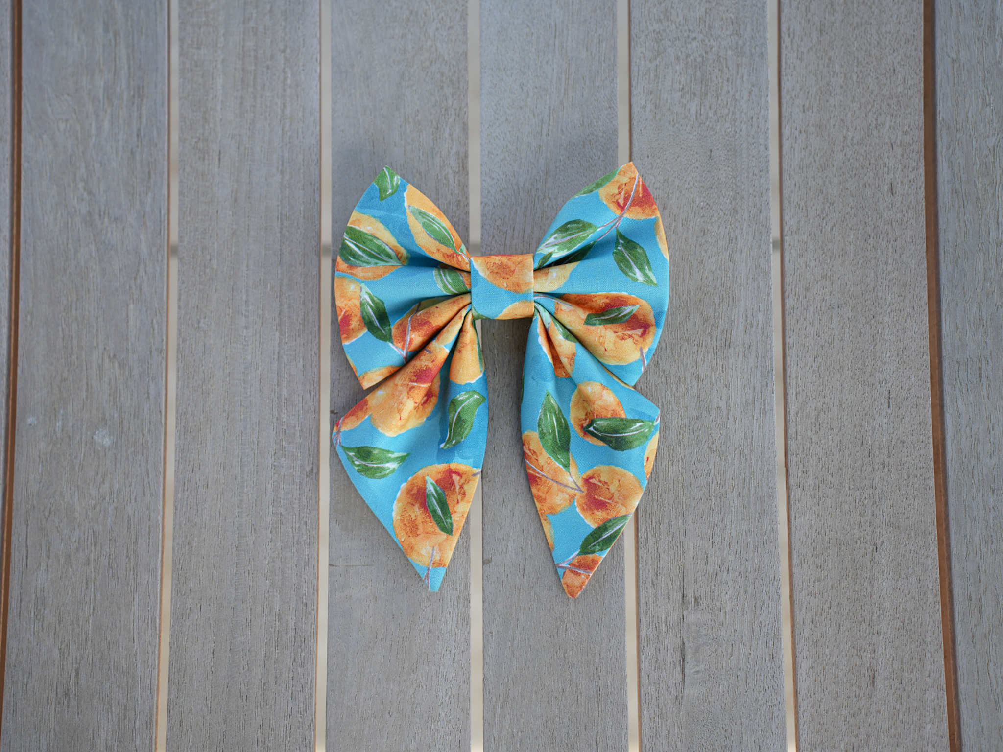 Sweet Apricot bow + bow tie