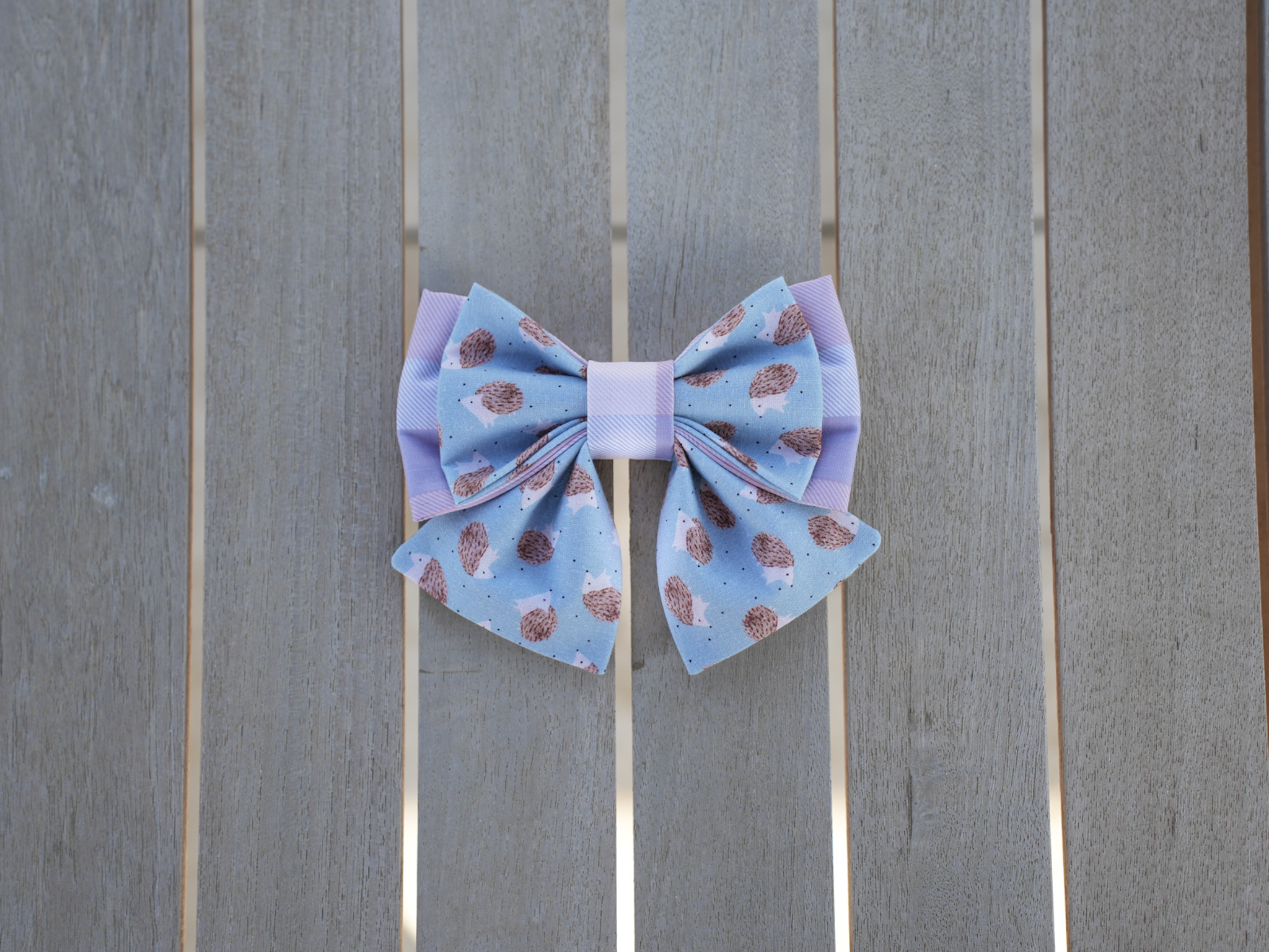 Hedgehog multicolor bow + bow tie