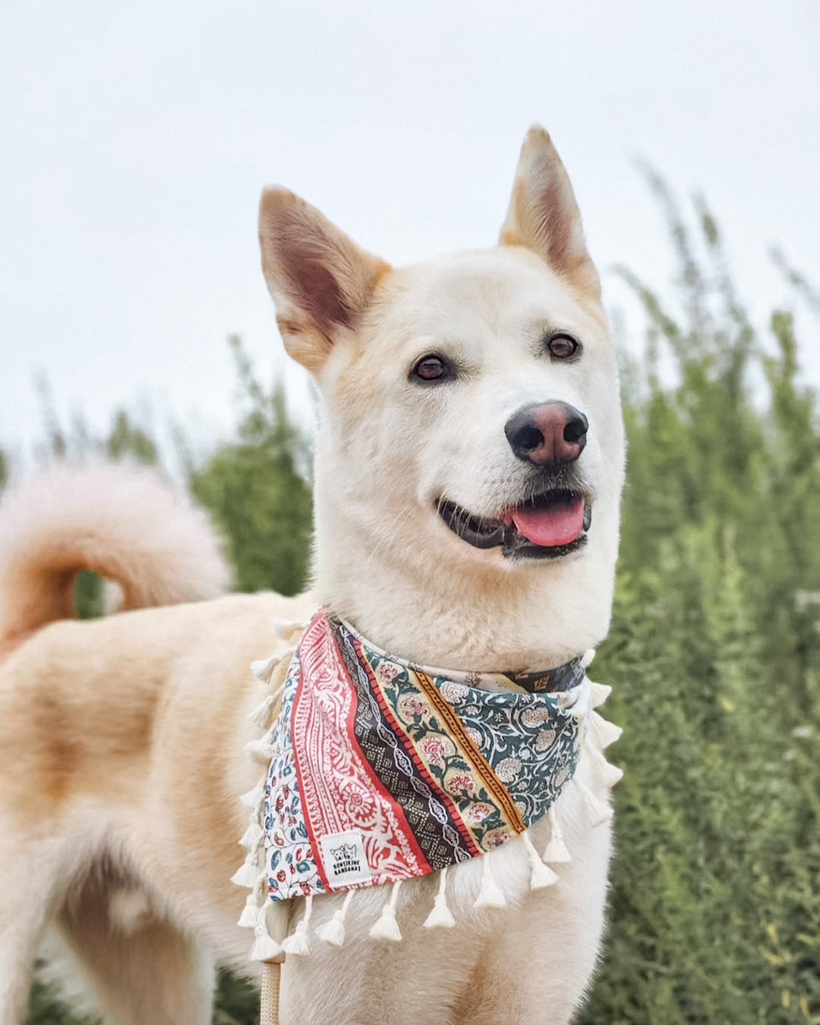 Hamsaa bandana