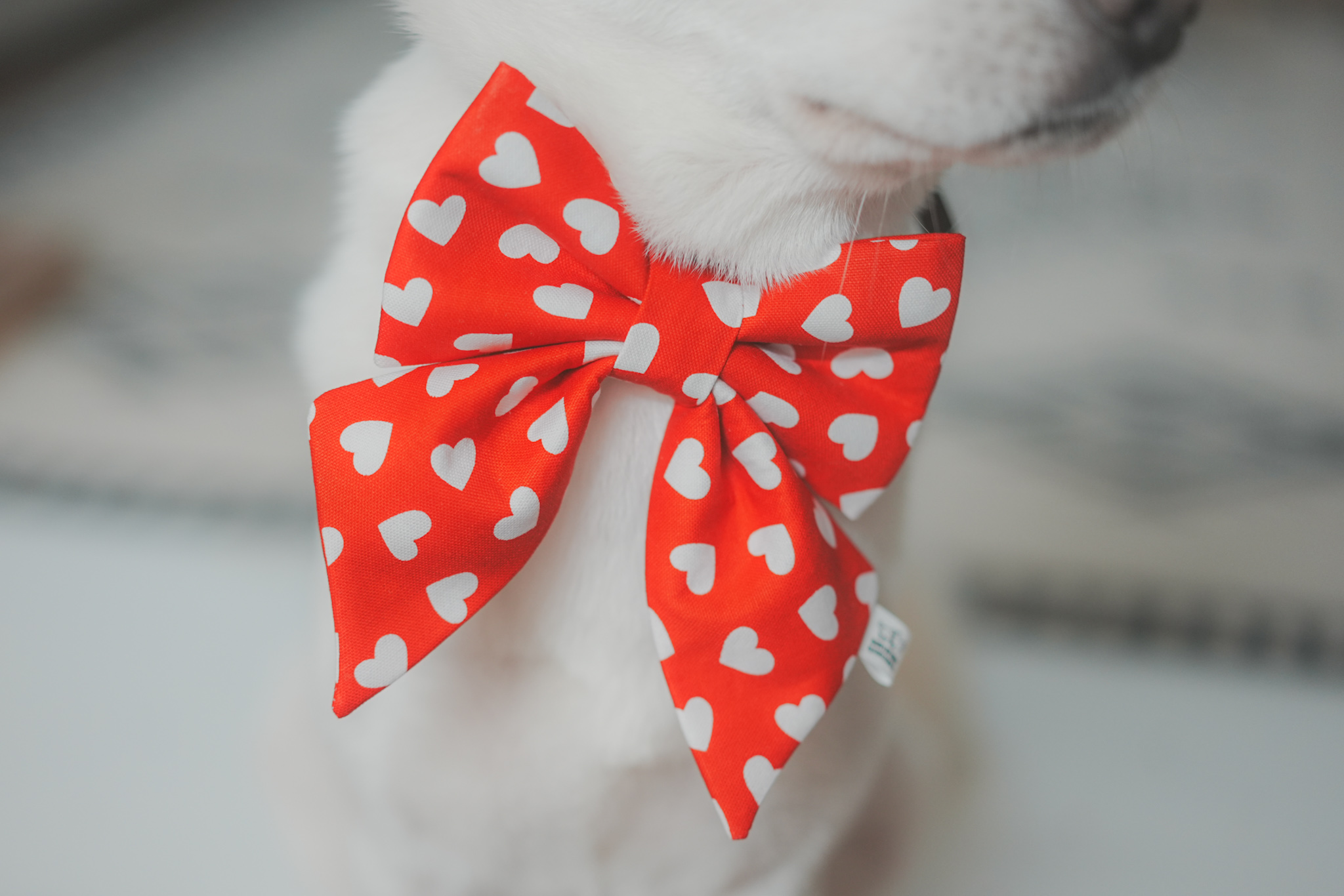 [Valentine's Limited] I Heart You Bow