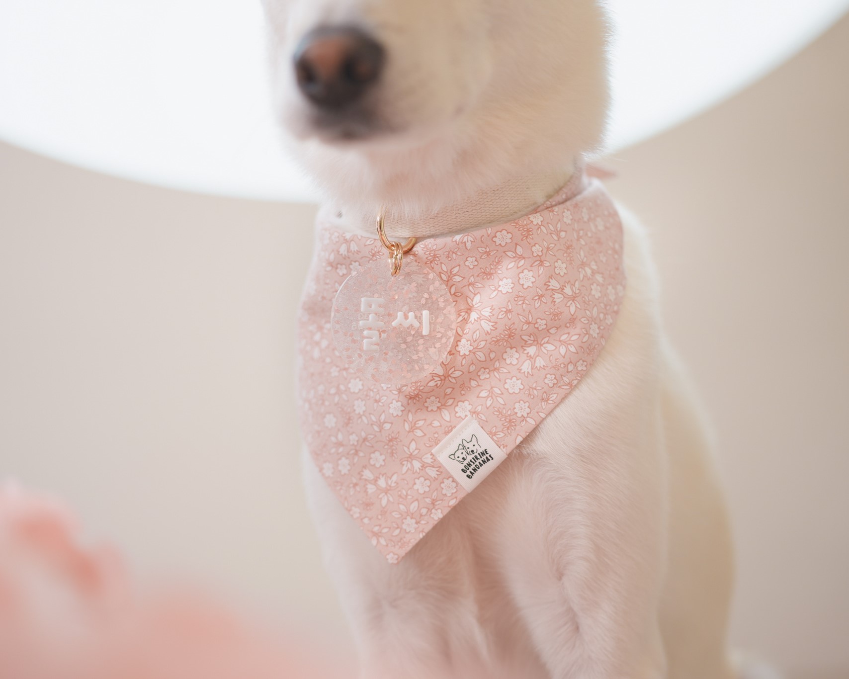 Cherry Blossom Ending Bandana