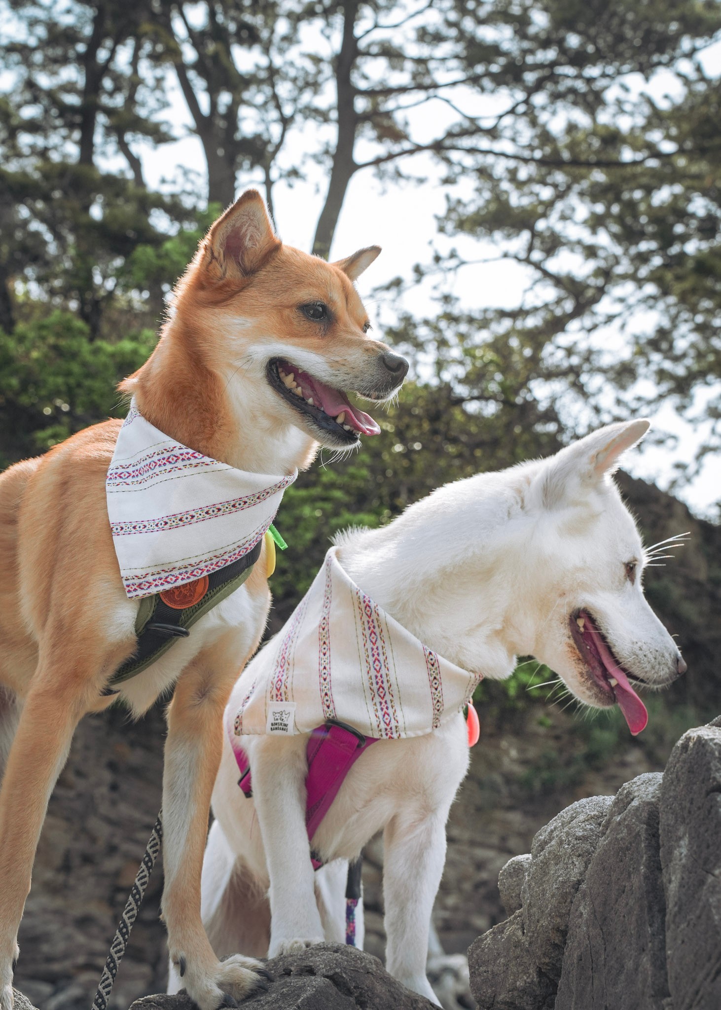 Bohemian Embroidery Bandana