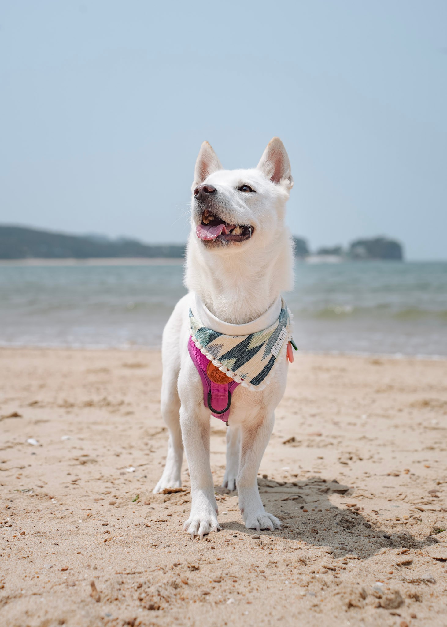 Moana Multiway Bandana