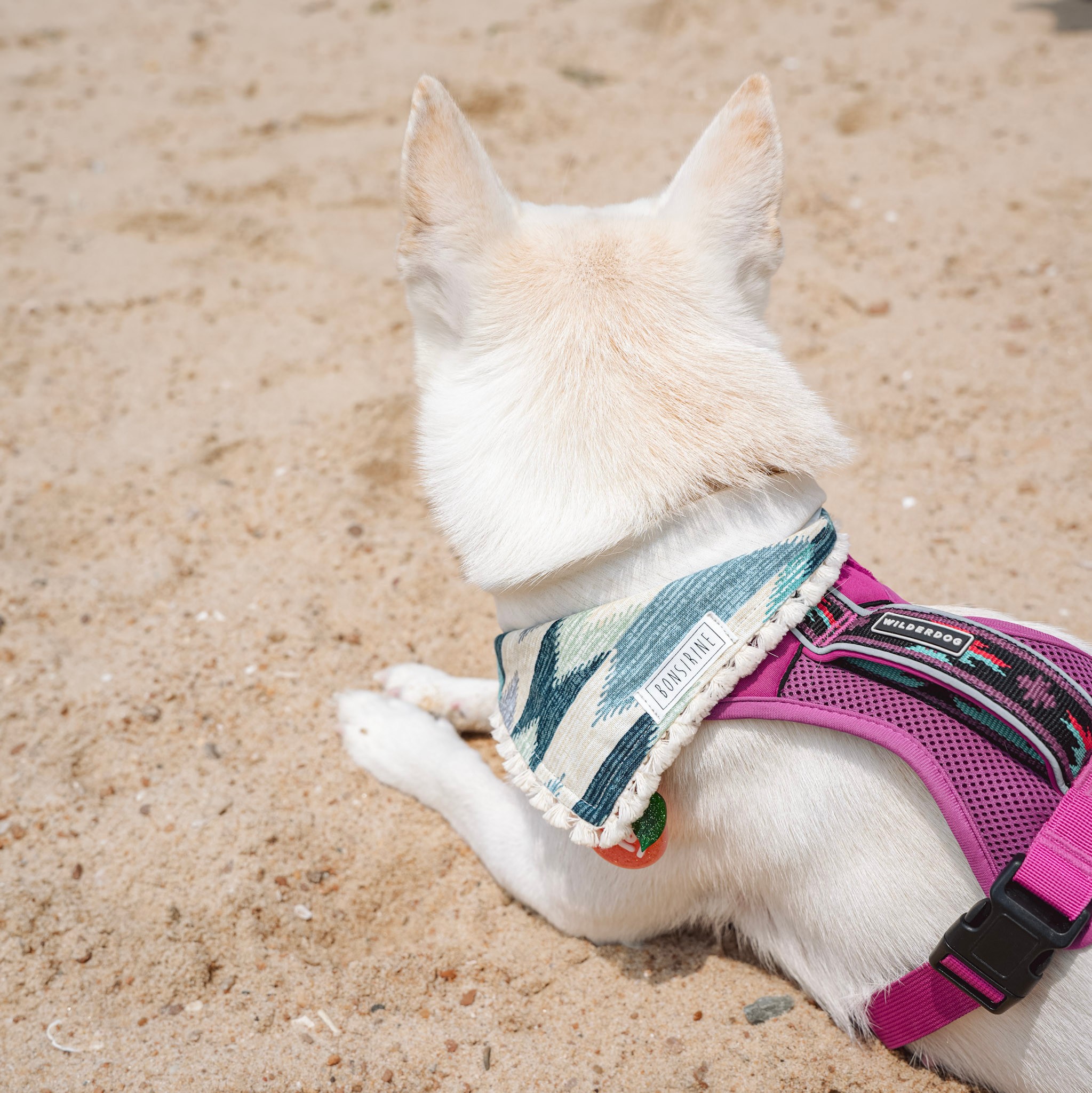 Moana Multiway Bandana