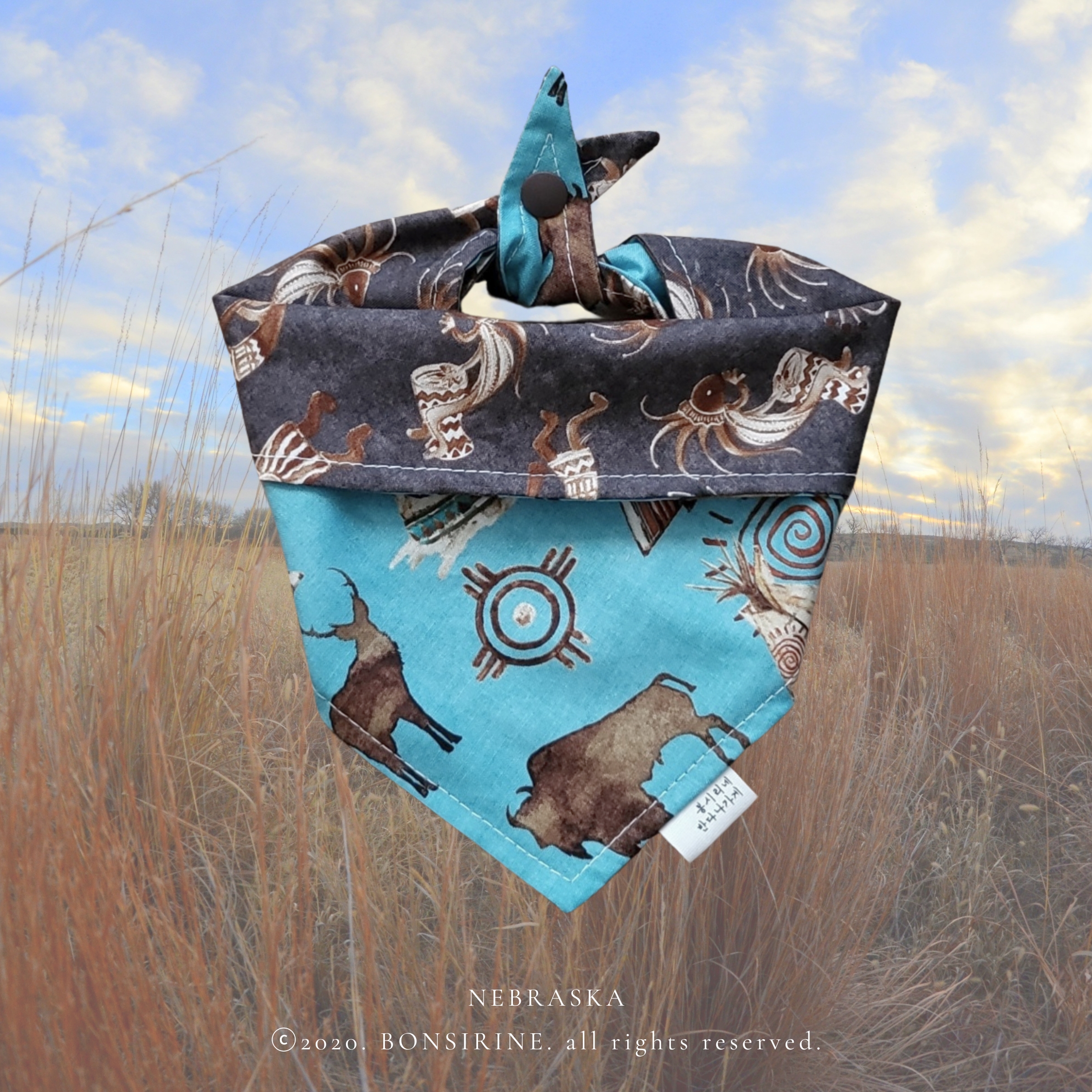 Nebraska Multiway Bandana