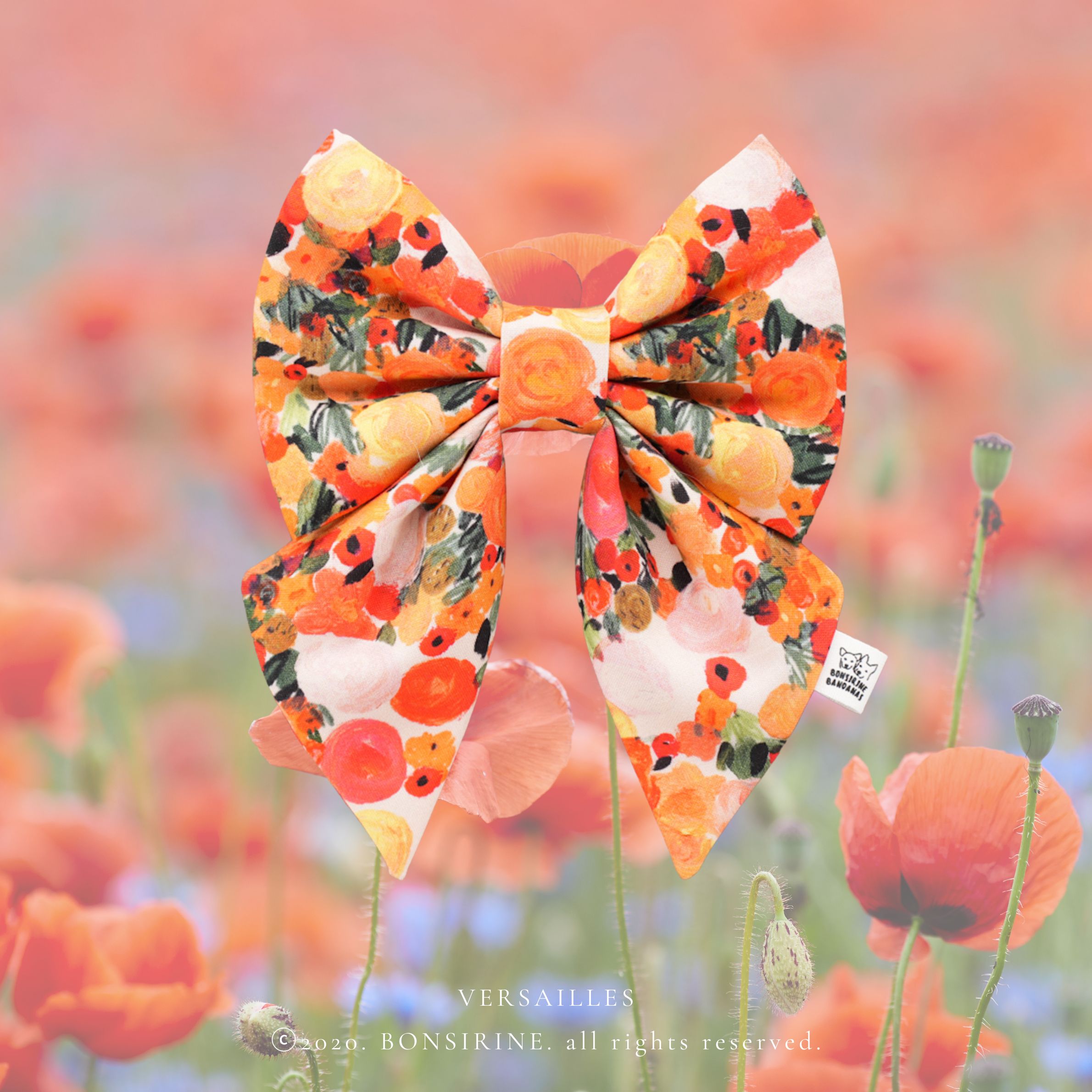Versailles bow + bow tie