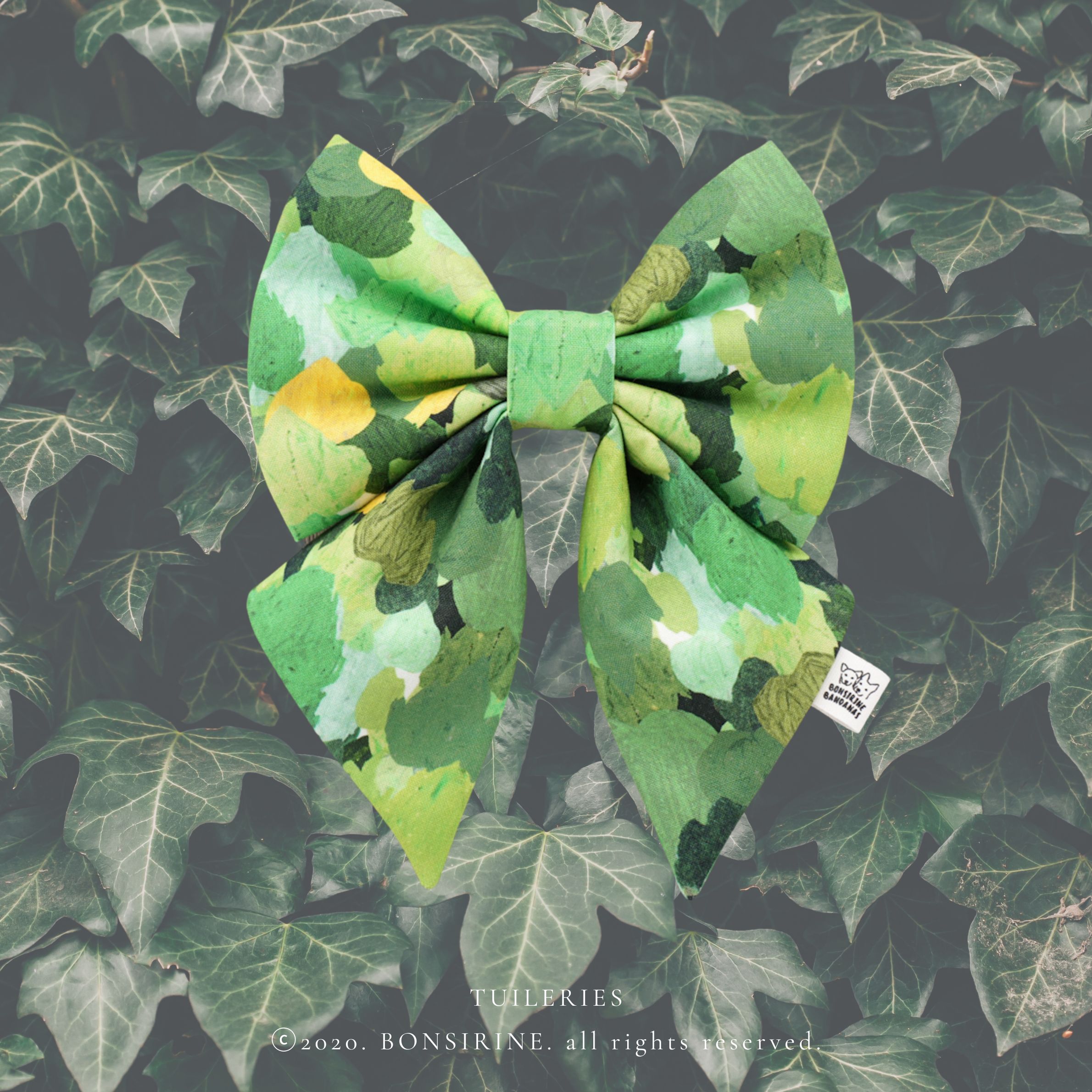 Tuileries bow + bow tie
