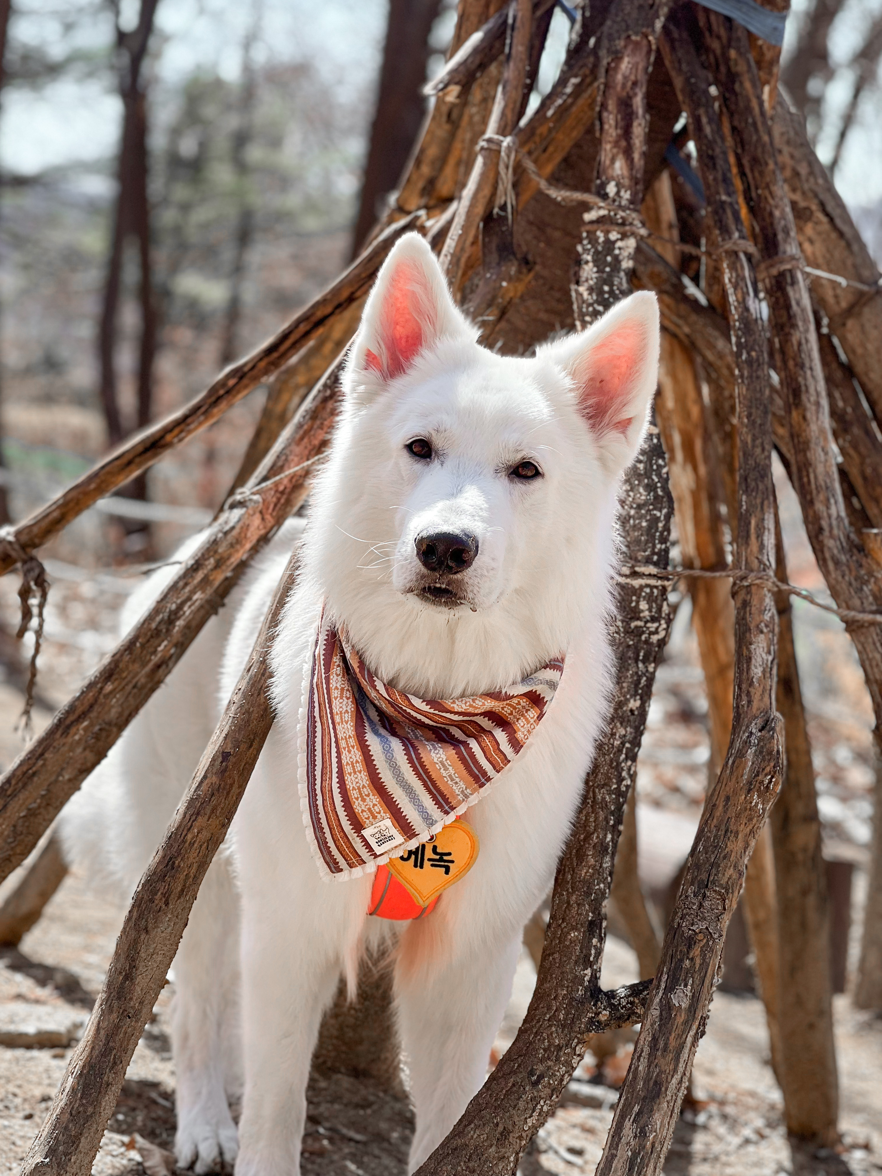 Mohawk bandana