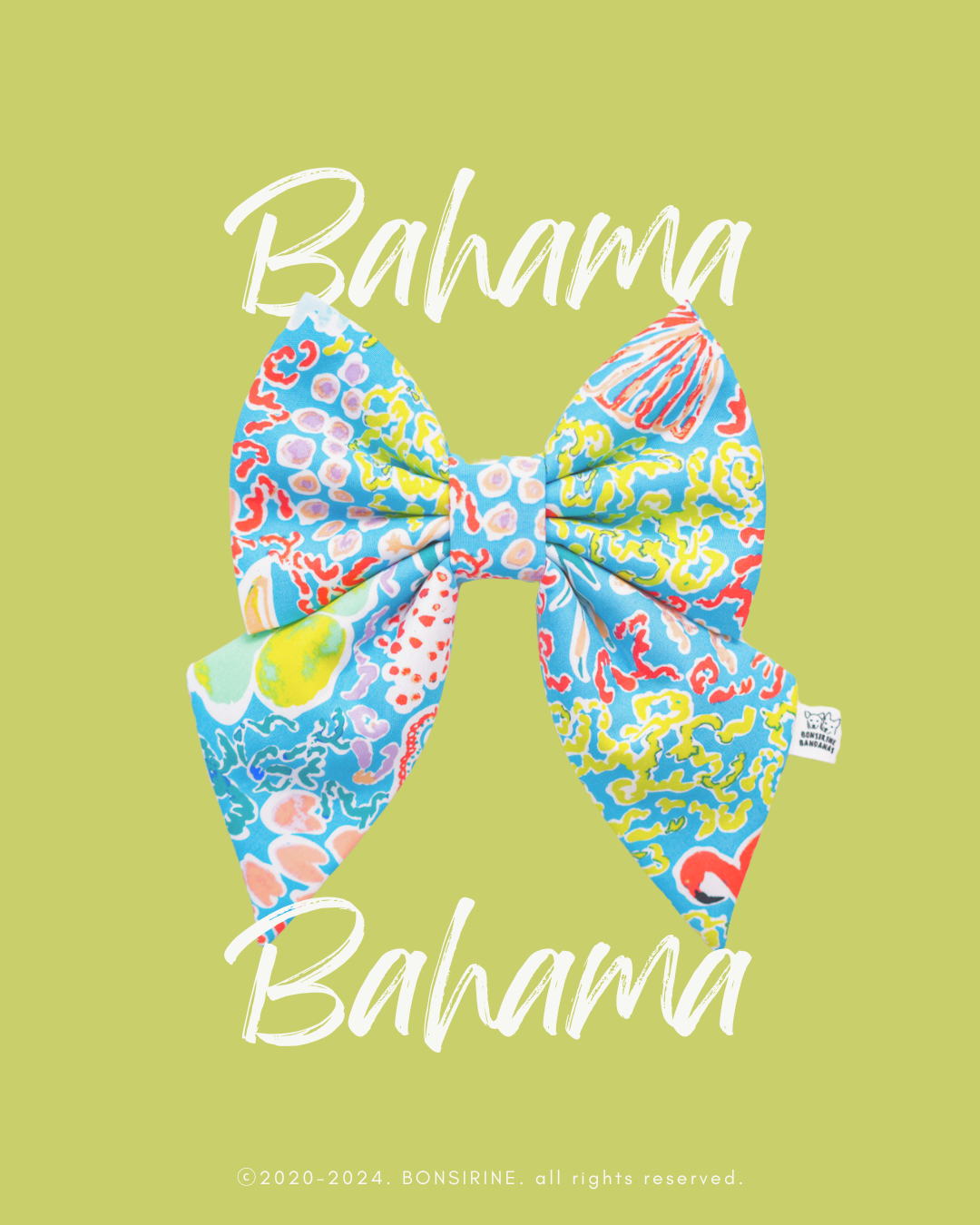 Bahama Bow + Bow tie
