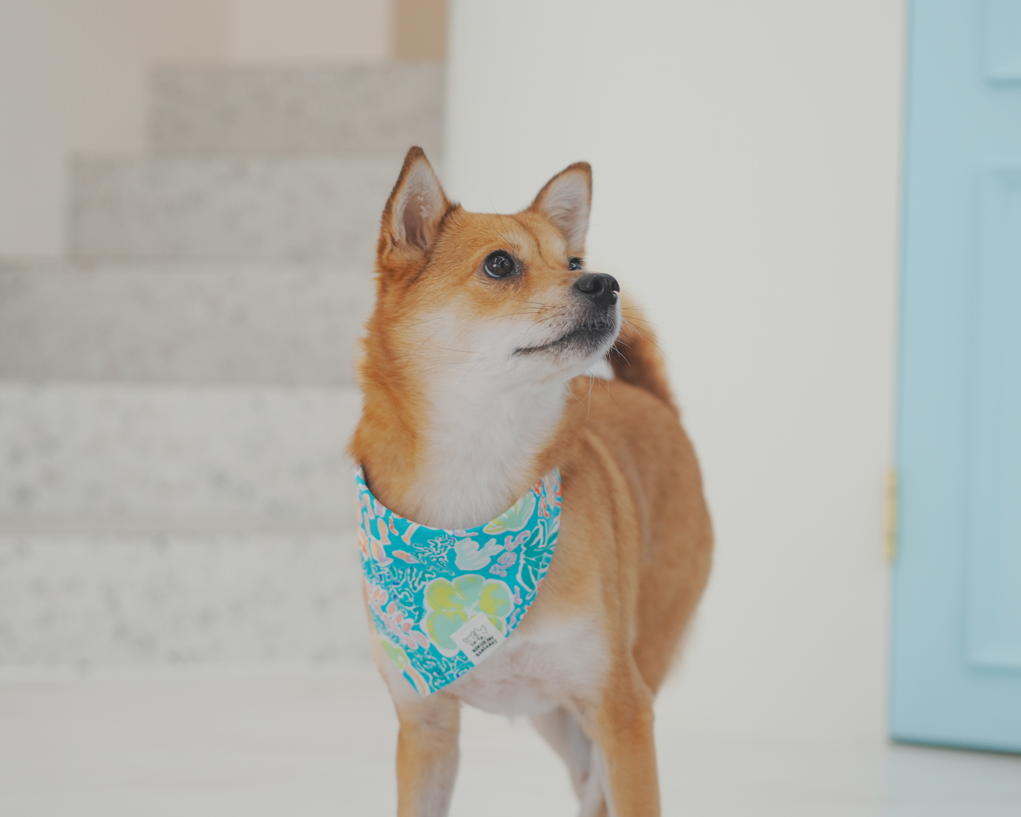 Bahama Bandana