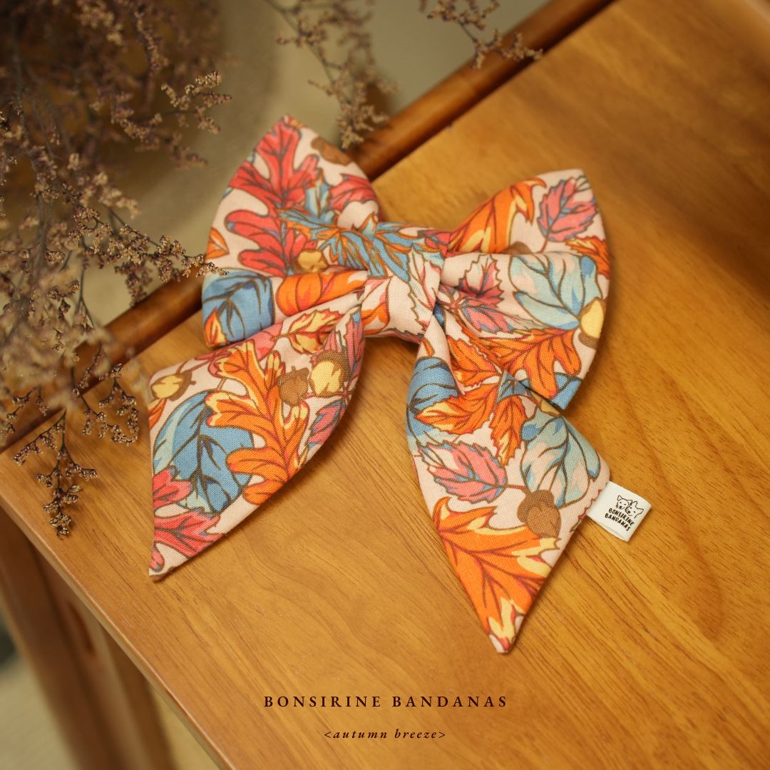 Autumn Breeze Bow + Bow tie