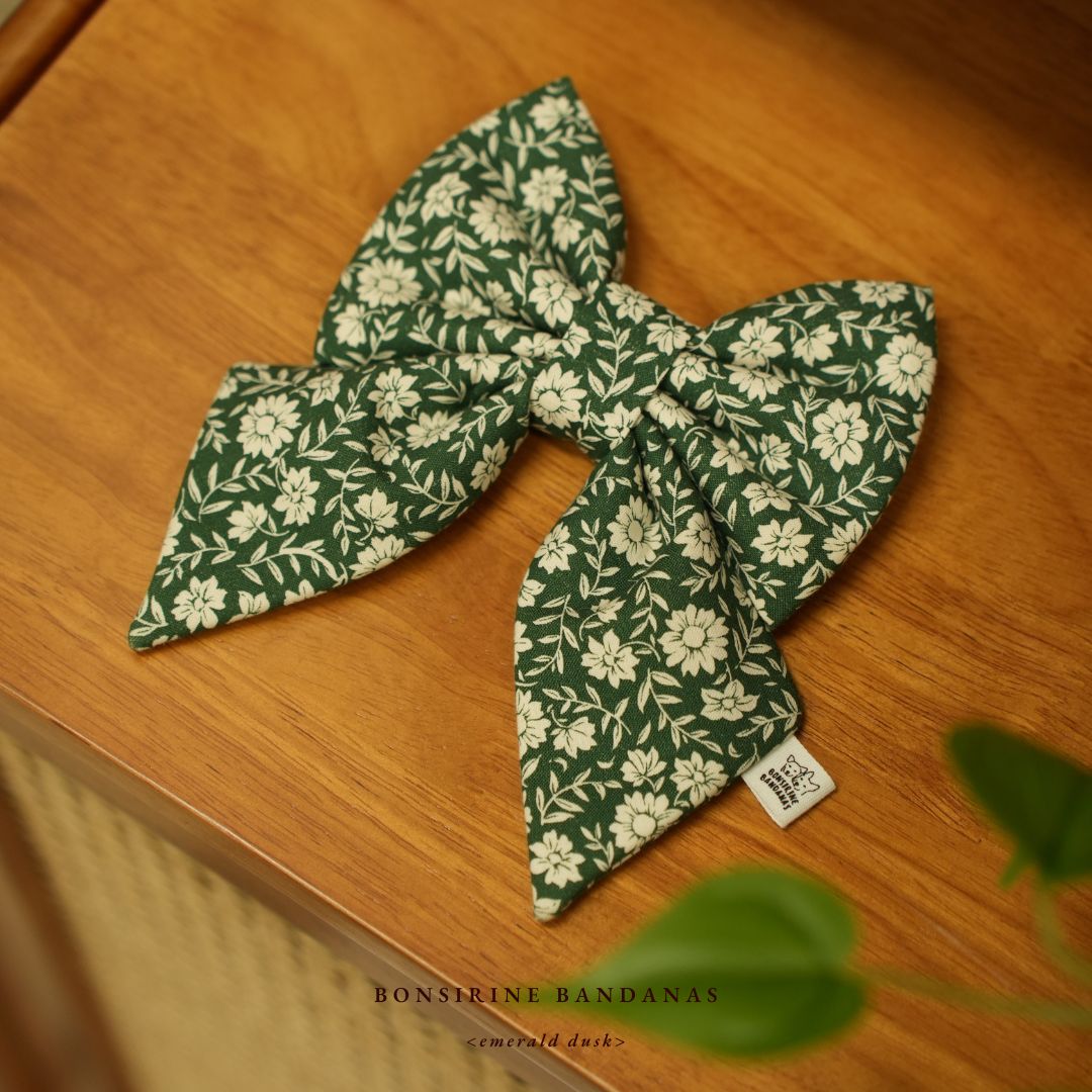 Emerald Dusk Bow + Bow tie