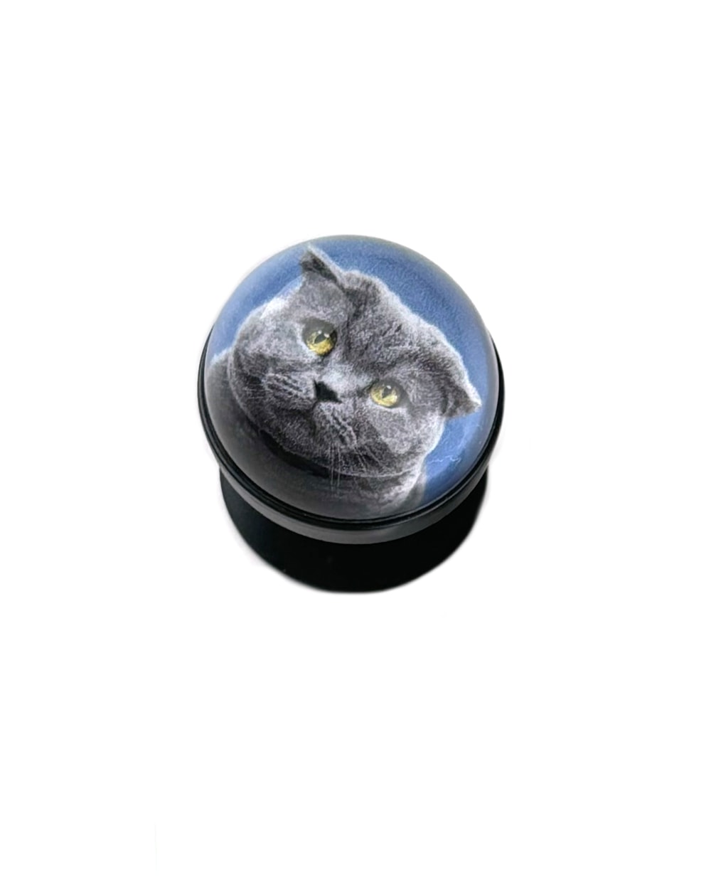 Cat Boss Tok
