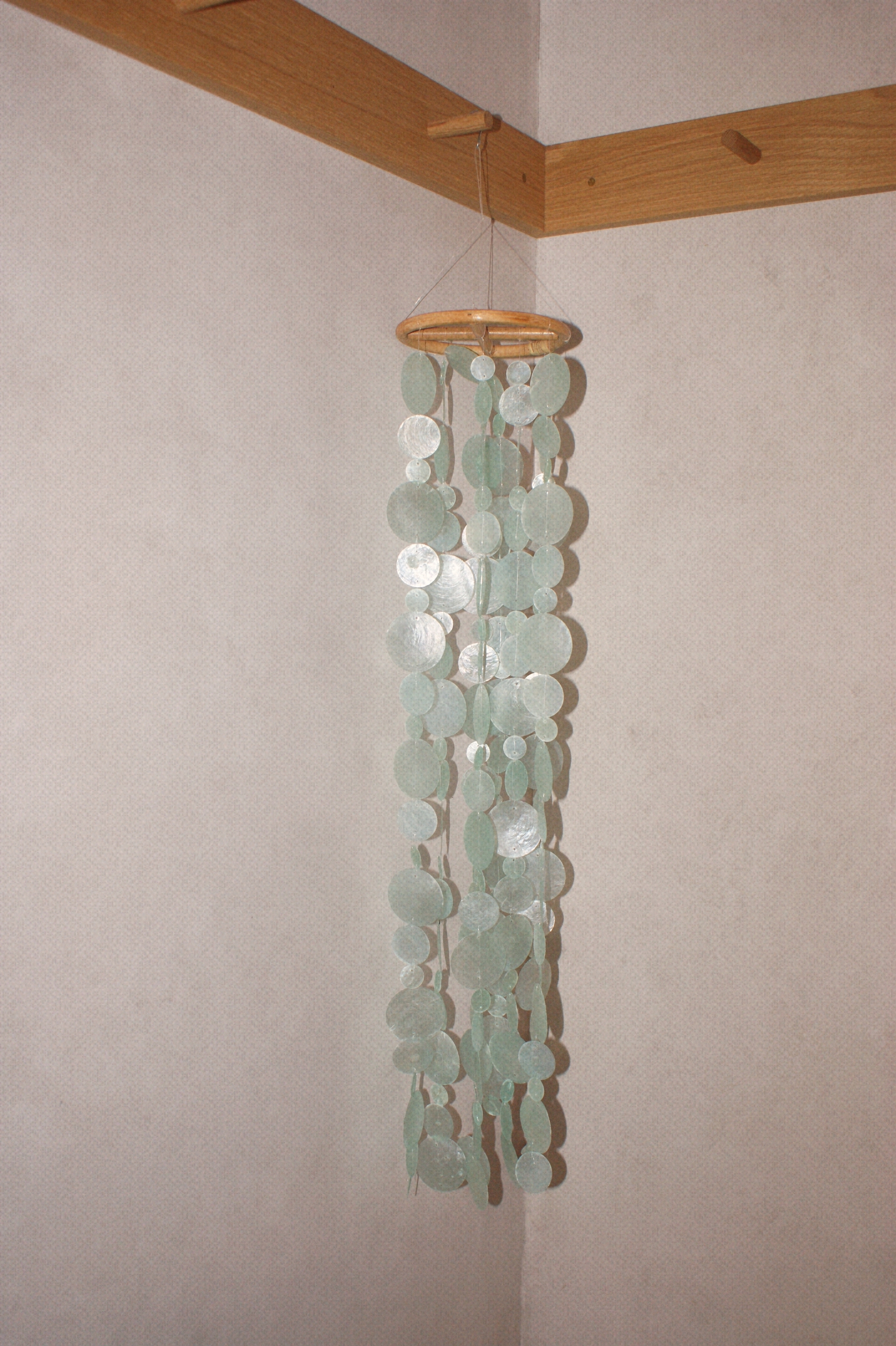 LONG MINT SHELL MOBILE